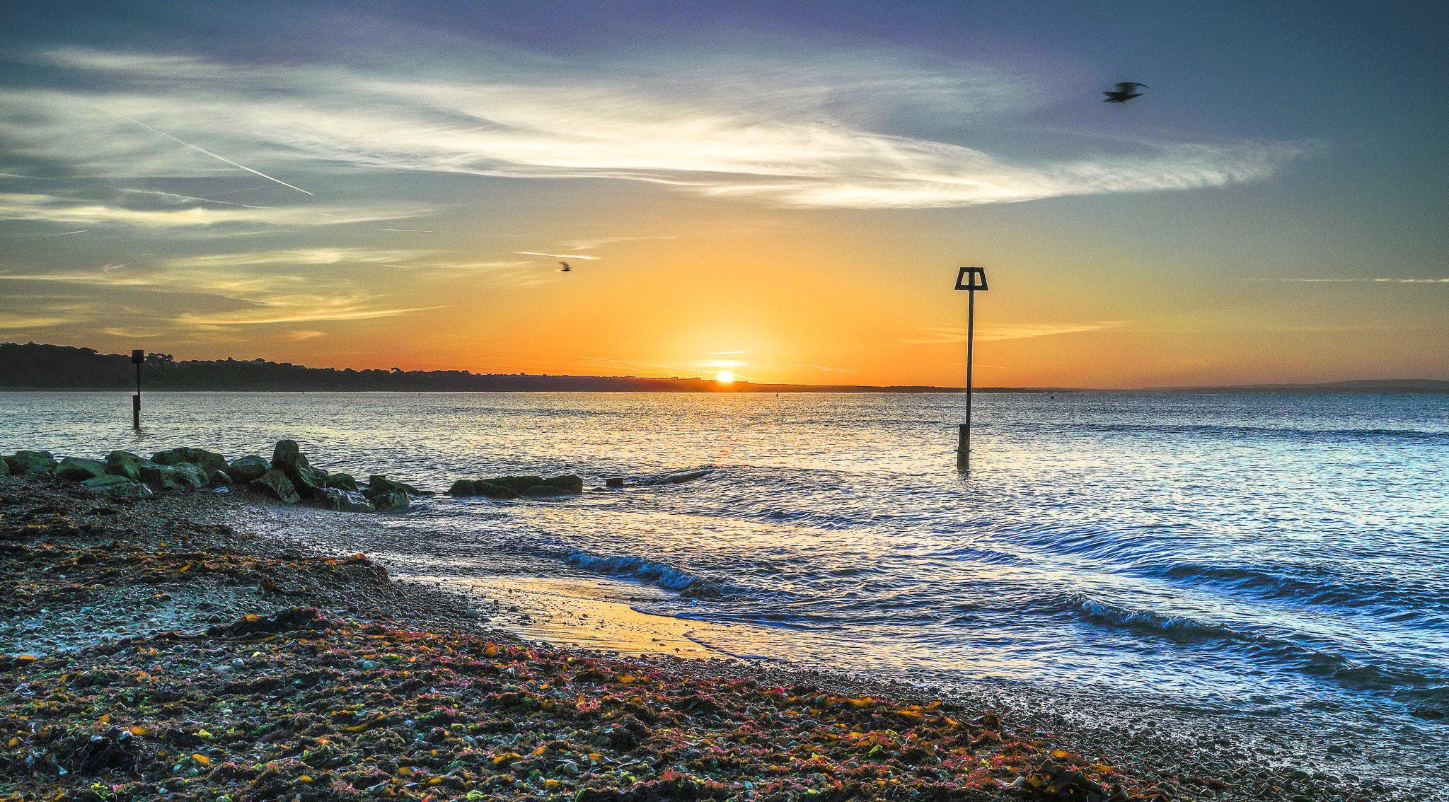 Canon EF 24-105mm F3.5-5.6 IS STM sample photo. Seaweed sunrise photography
