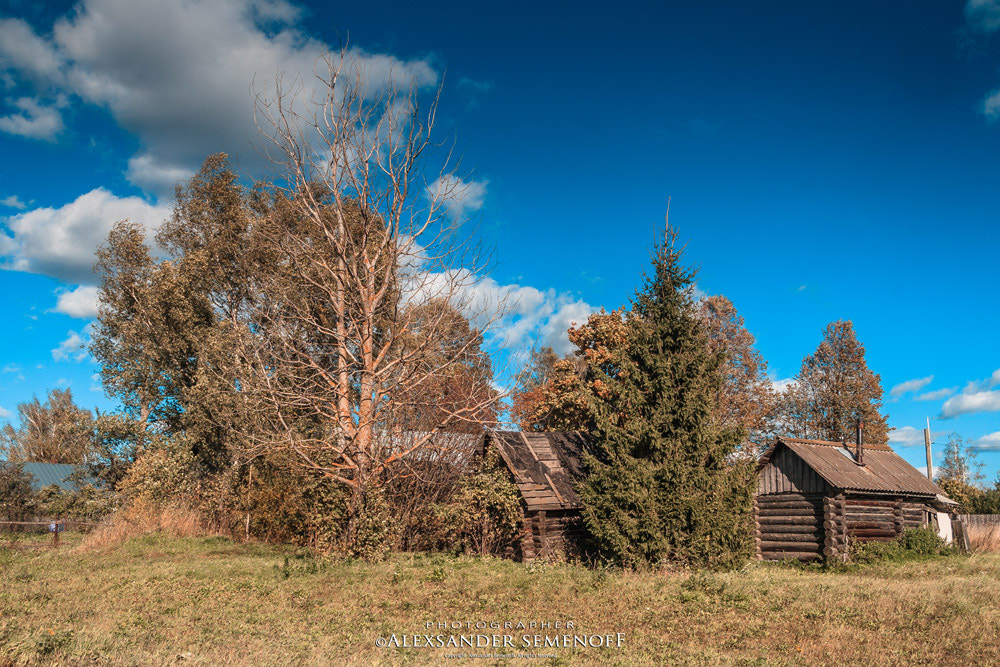 Canon EF-S 17-85mm F4-5.6 IS USM sample photo. Autumn etude photography
