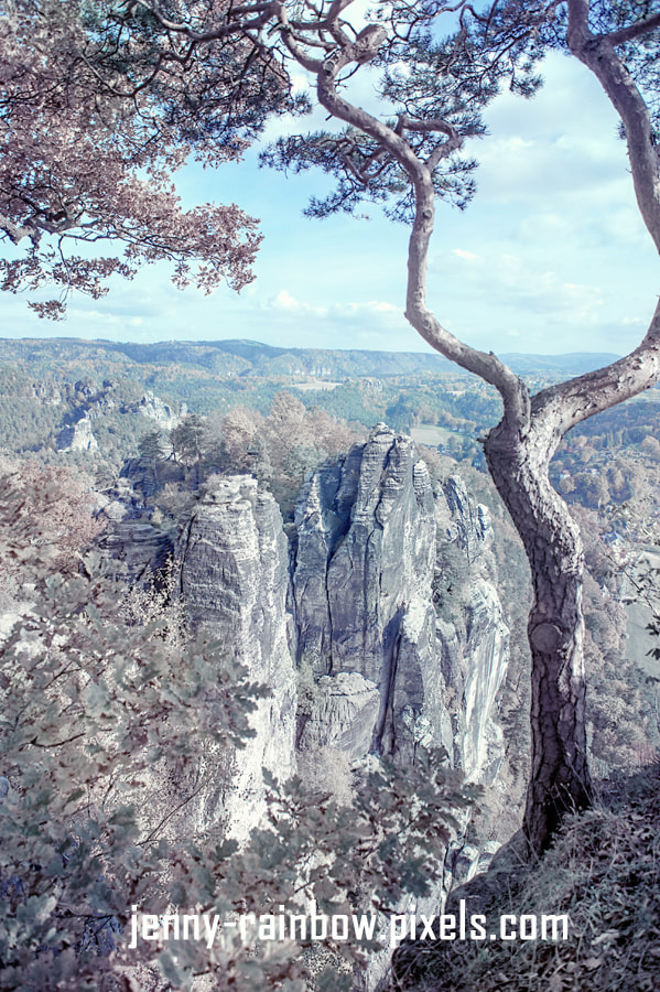 Nikon D700 sample photo. Nostalgic romantic. saxon switzerland photography