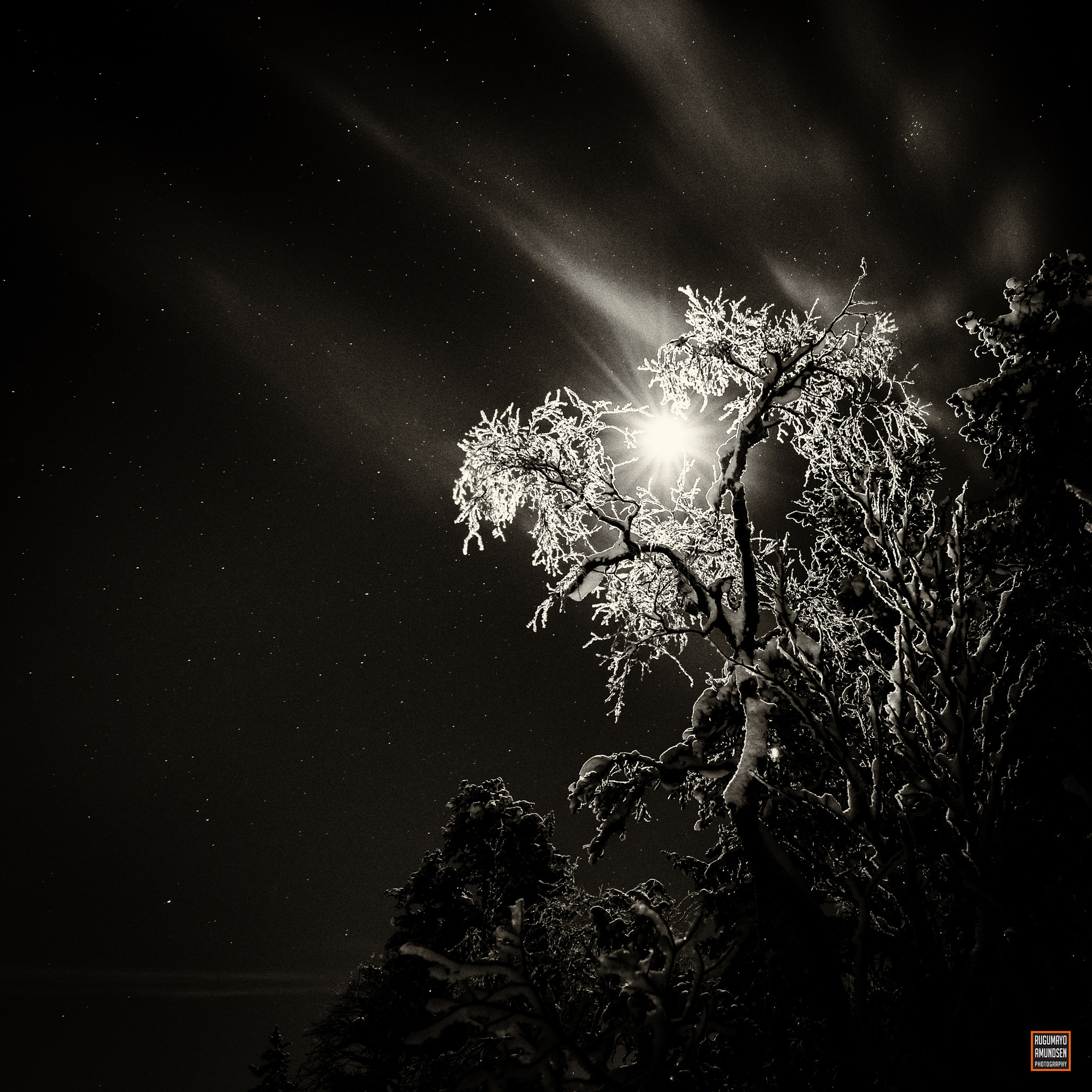 Nikon D810A sample photo. Moonlight photography