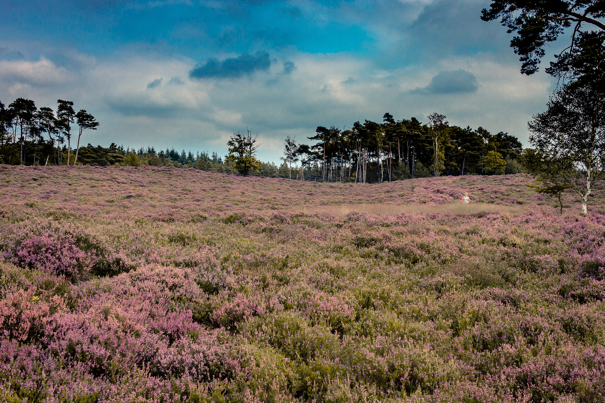 Canon EF-S 24mm F2.8 STM sample photo. Woman in field ~ tongeren photography
