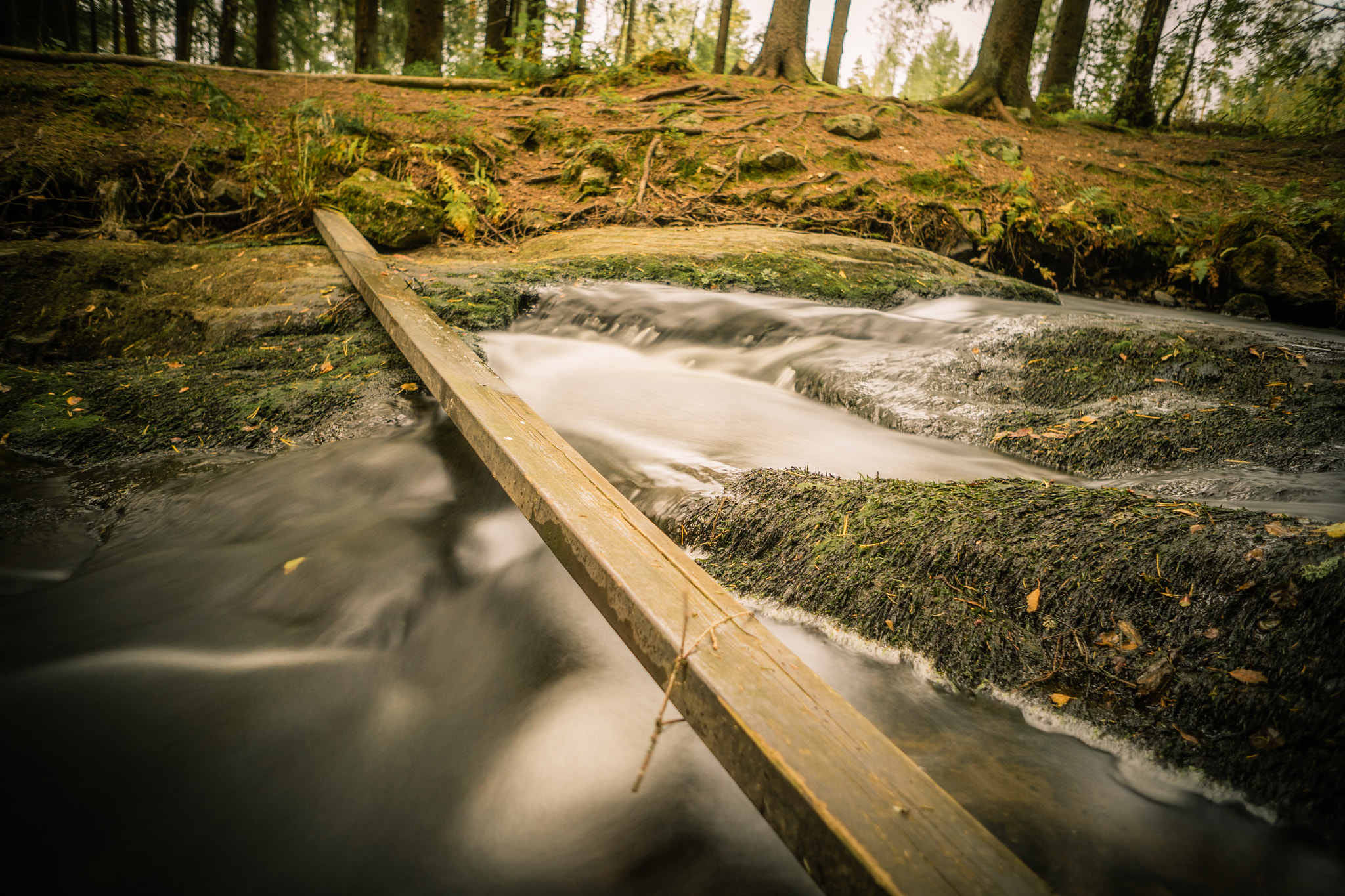 Sony a7 + Sony E 16mm F2.8 sample photo. Forest stream photography