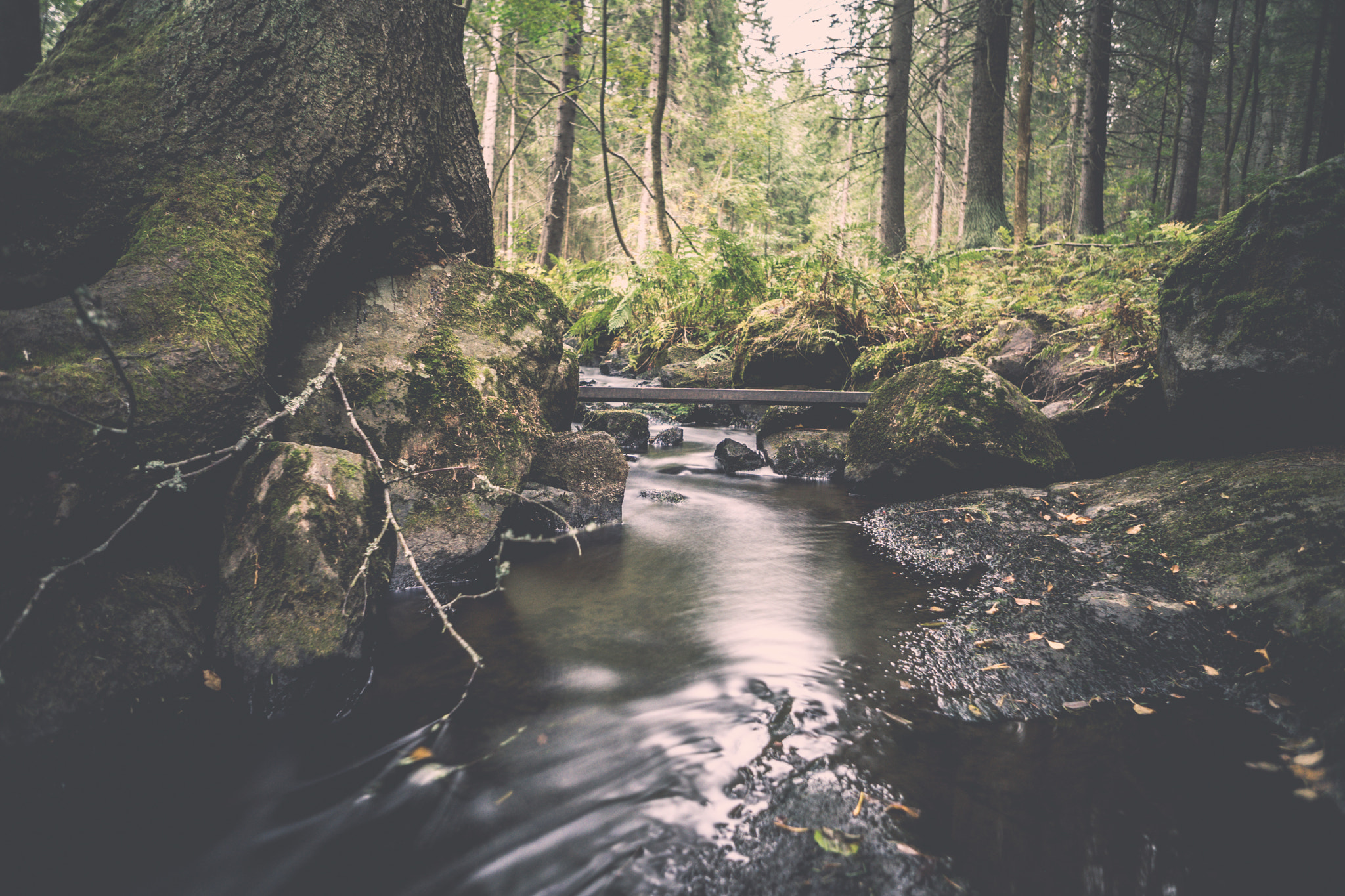 Sony a7 + Sony E 16mm F2.8 sample photo. Forest stream photography