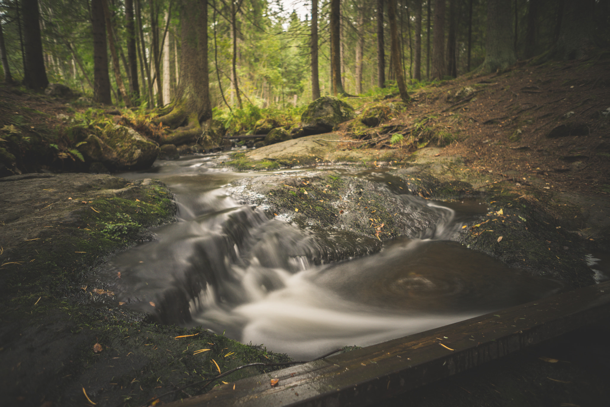 Sony a7 + Sony E 16mm F2.8 sample photo. Forest stream photography