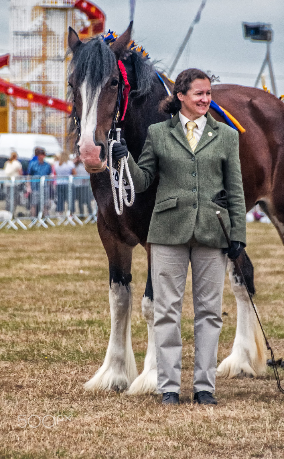 Sony a7R + Sony DT 18-250mm F3.5-6.3 sample photo. Young shire horse show 2 photography