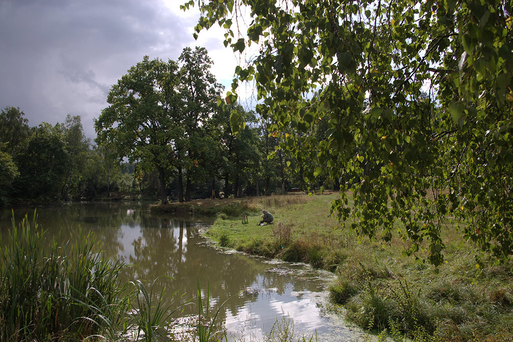 Pentax K110D sample photo. Autumn pond. photography