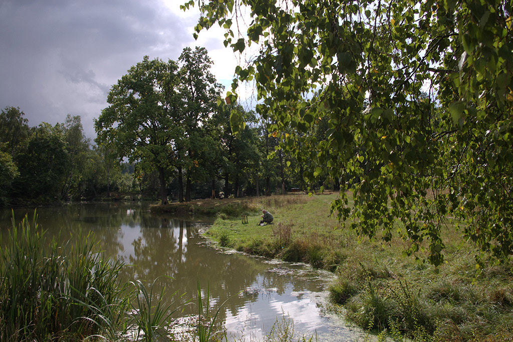 Pentax K110D + Pentax smc DA 18-55mm F3.5-5.6 AL sample photo. Autumn pond. photography