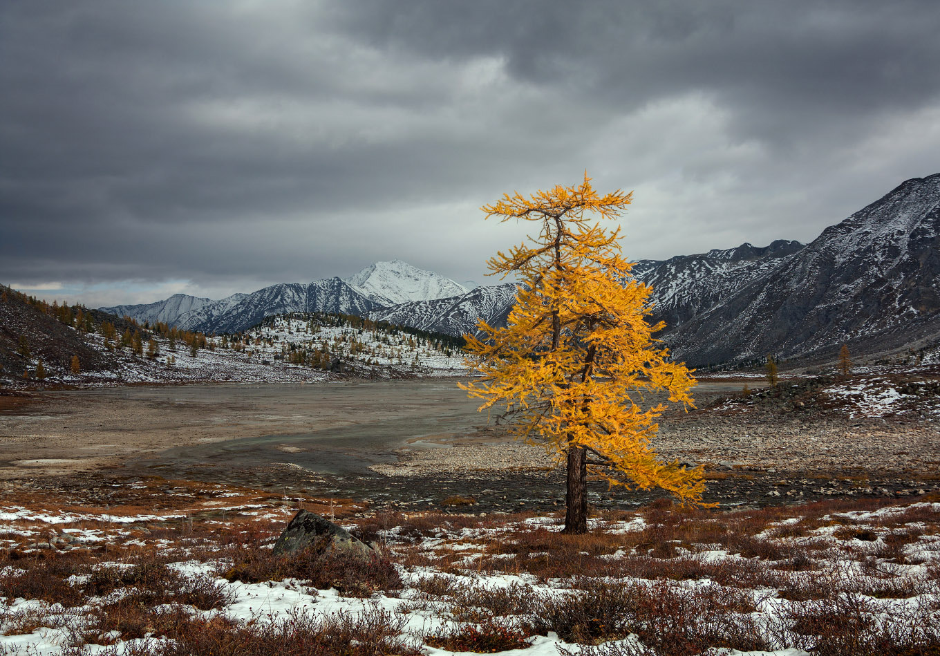 Tokina AT-X Pro 12-24mm F4 (IF) DX sample photo. Autumn in the mountains photography
