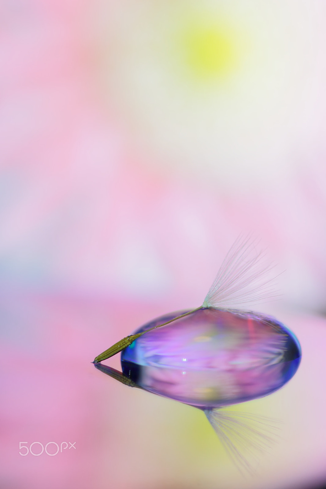 Canon EF 100mm F2.8 Macro USM sample photo. Sleep on water beds photography