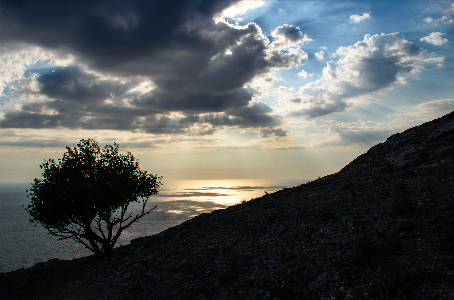 AF Zoom-Nikkor 28-85mm f/3.5-4.5 sample photo. Mountain tree photography