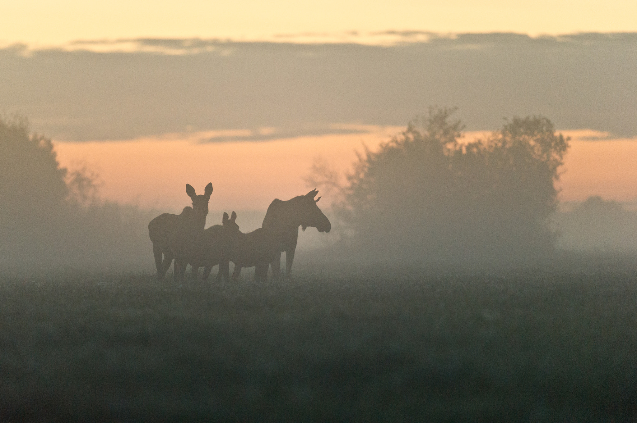 AF-S Nikkor 300mm f/2.8D IF-ED II sample photo. Enjoying the sunrise with my family :) photography