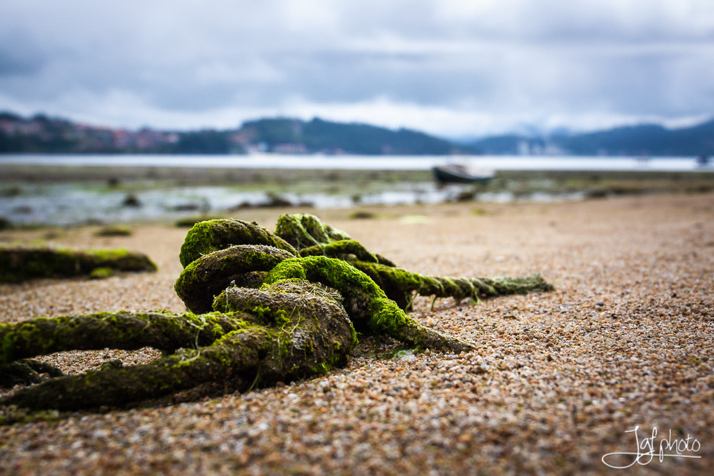 Canon EF 24-70mm F4L IS USM sample photo. Knots photography