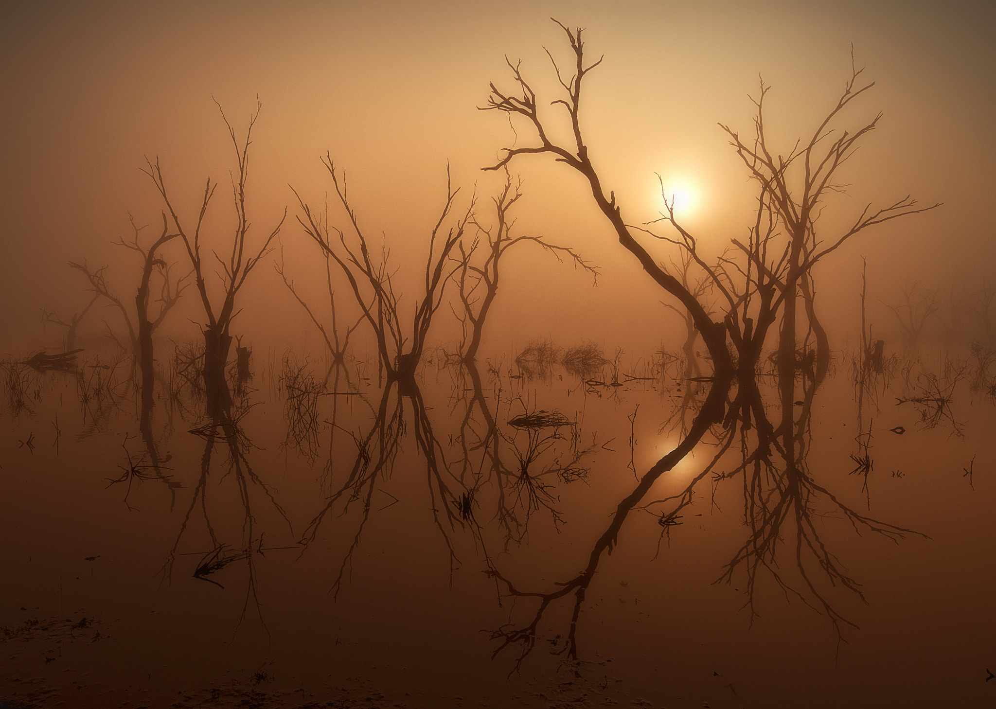 Nikon D300S sample photo. Foggy morning photography