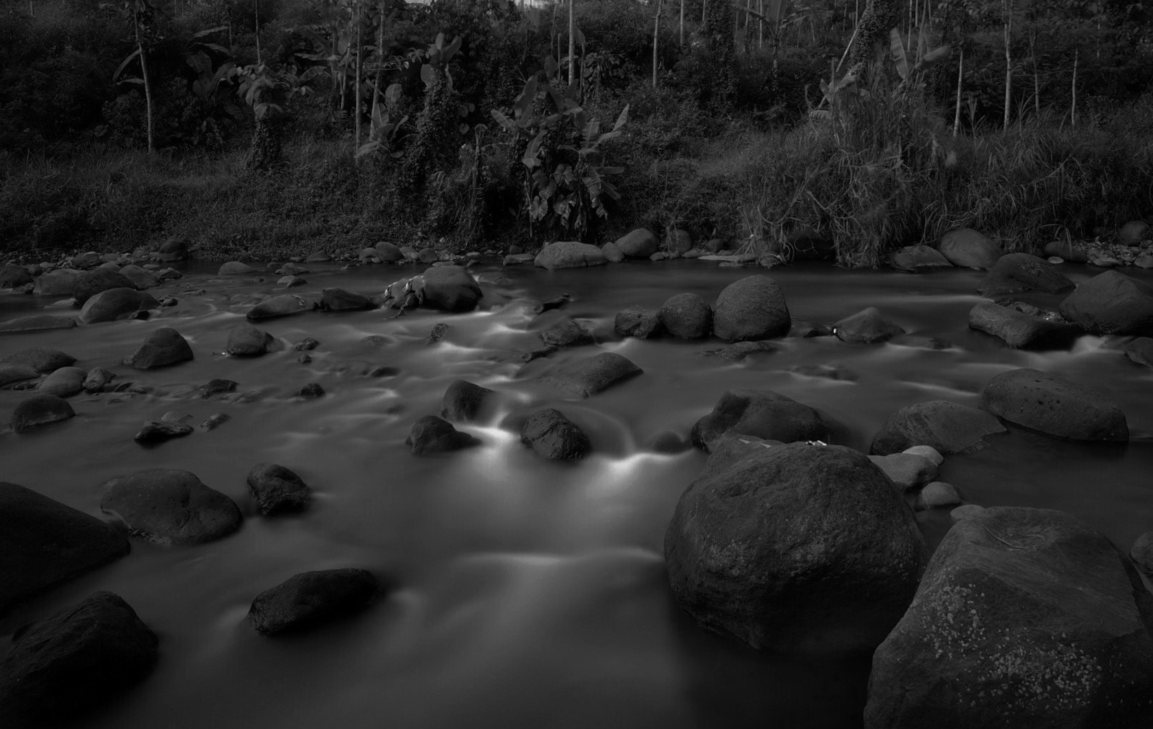 Olympus OM-D E-M5 II + Olympus M.Zuiko Digital ED 12-40mm F2.8 Pro sample photo. Ciliwung river. photography