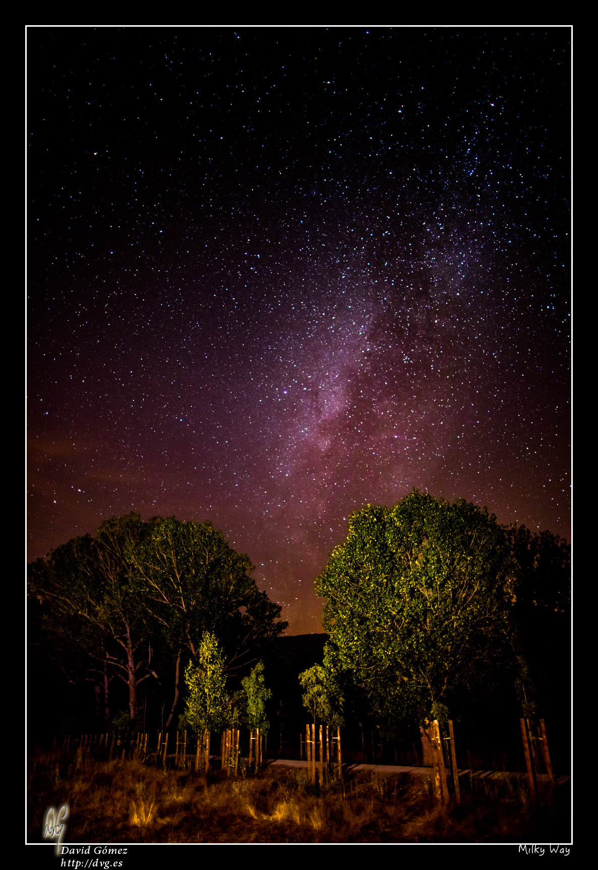 Canon EOS 5DS + Canon EF 24mm F1.4L II USM sample photo. Milky way photography
