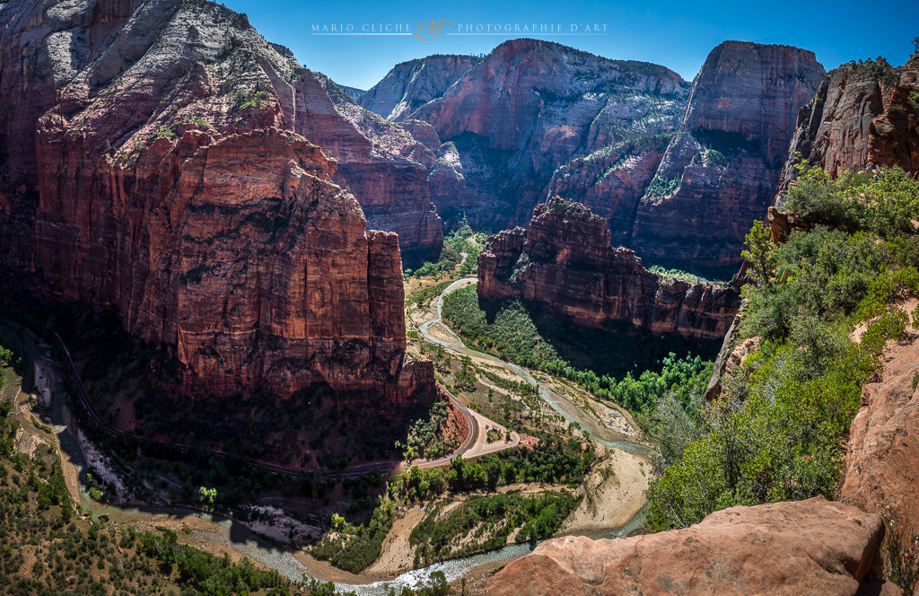 Canon EOS 5DS + Canon EF 24-70mm F2.8L USM sample photo. Big bend photography