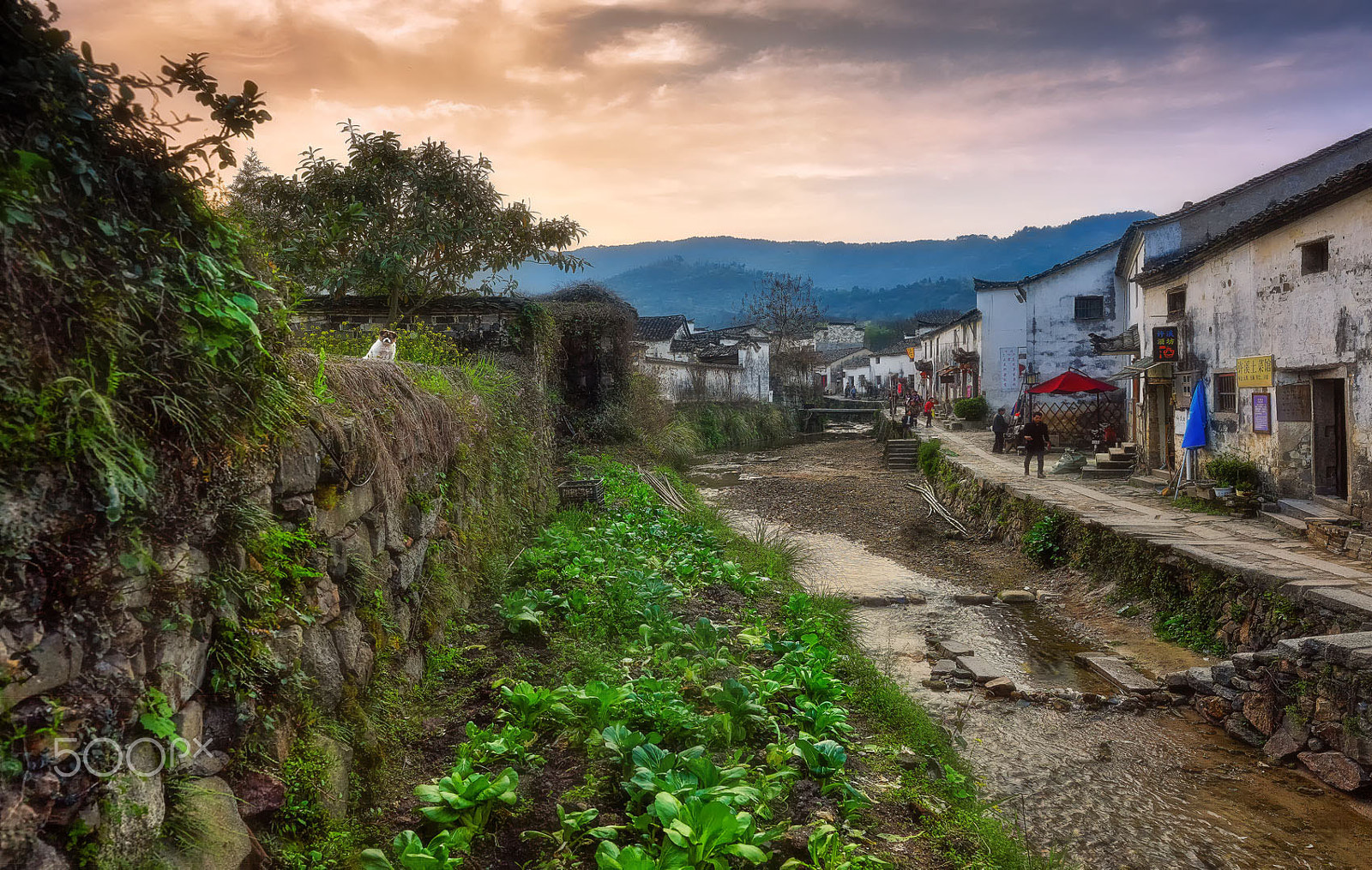 Phase One P25+ sample photo. 寧靜的山村 photography
