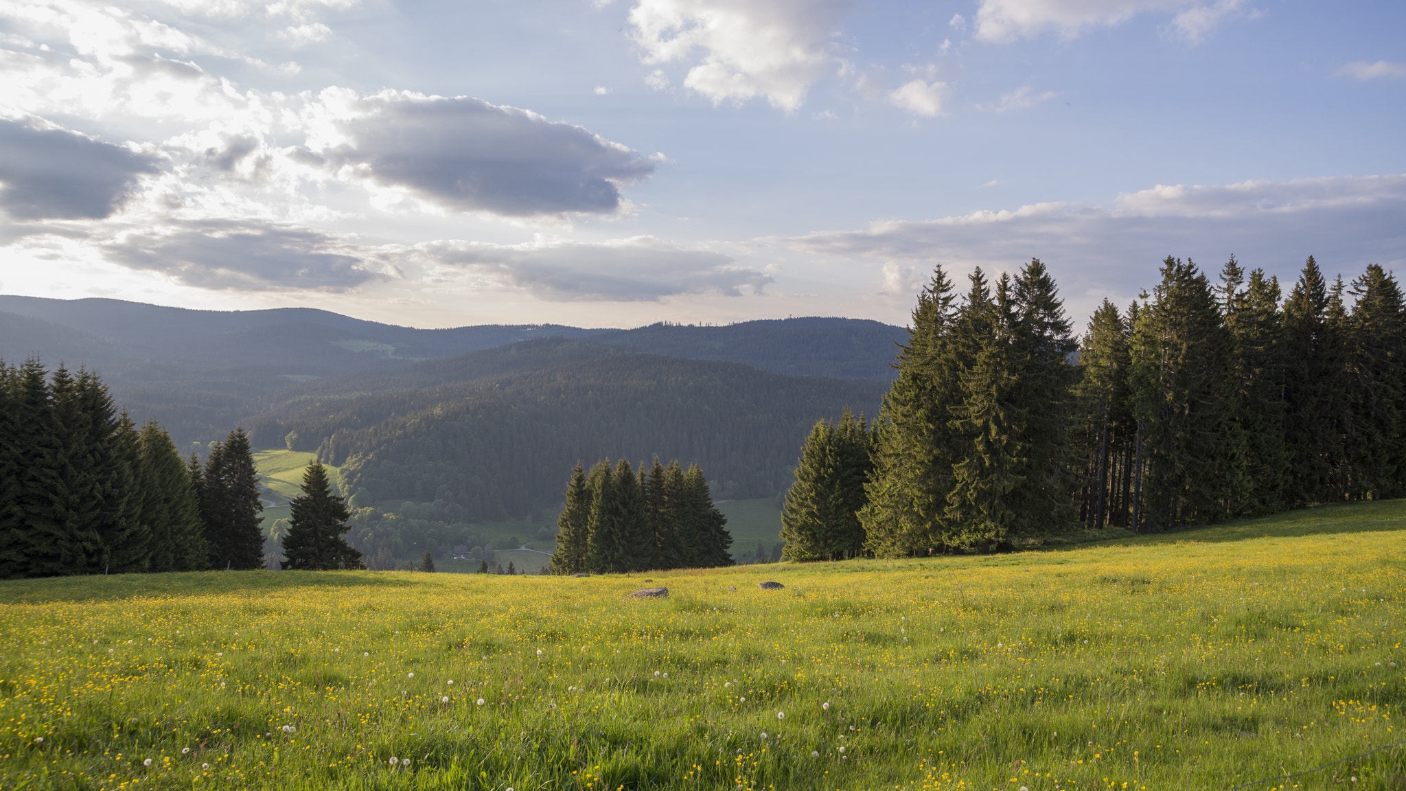 Nikon D600 + Sigma 24-105mm F4 DG OS HSM Art sample photo. Spring and sky photography