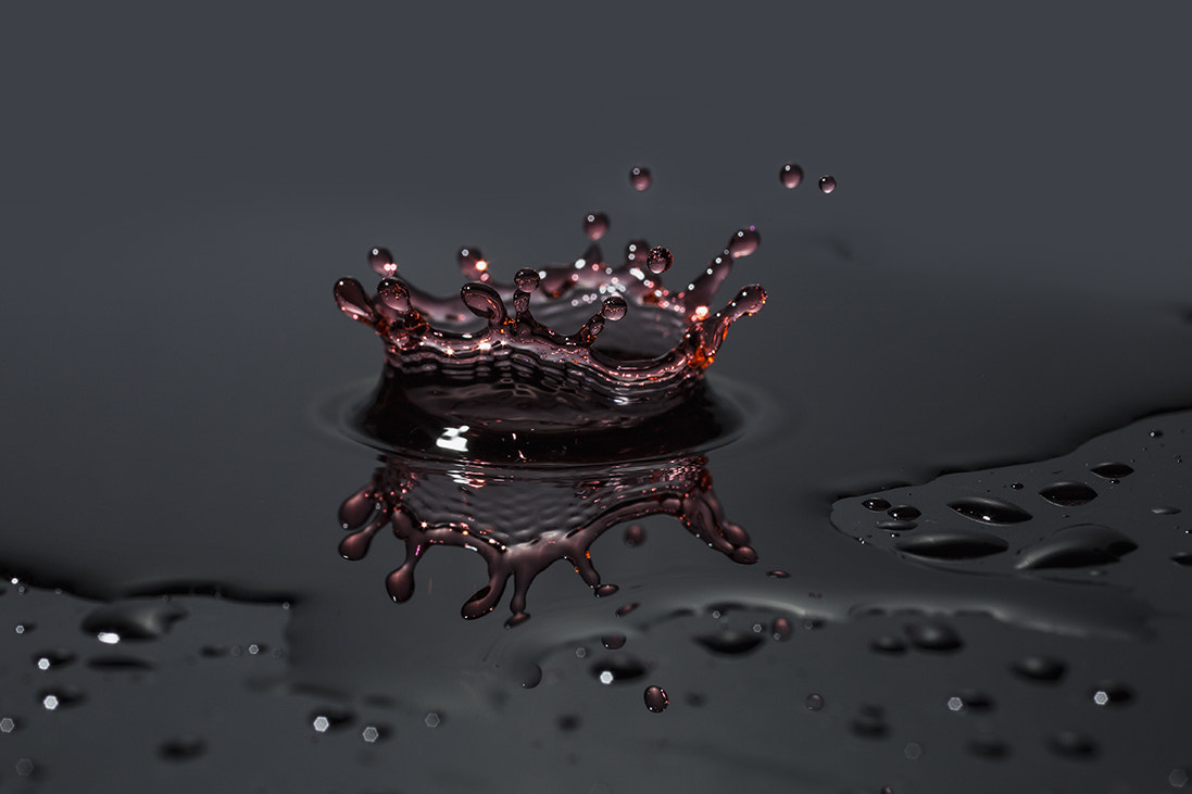 Canon EOS 6D + Canon EF 50mm F2.5 Macro sample photo. Splash photography