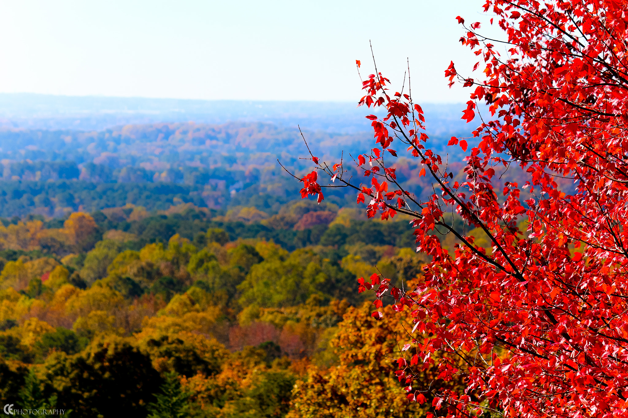 Canon EOS 650D (EOS Rebel T4i / EOS Kiss X6i) sample photo. Fall colors photography