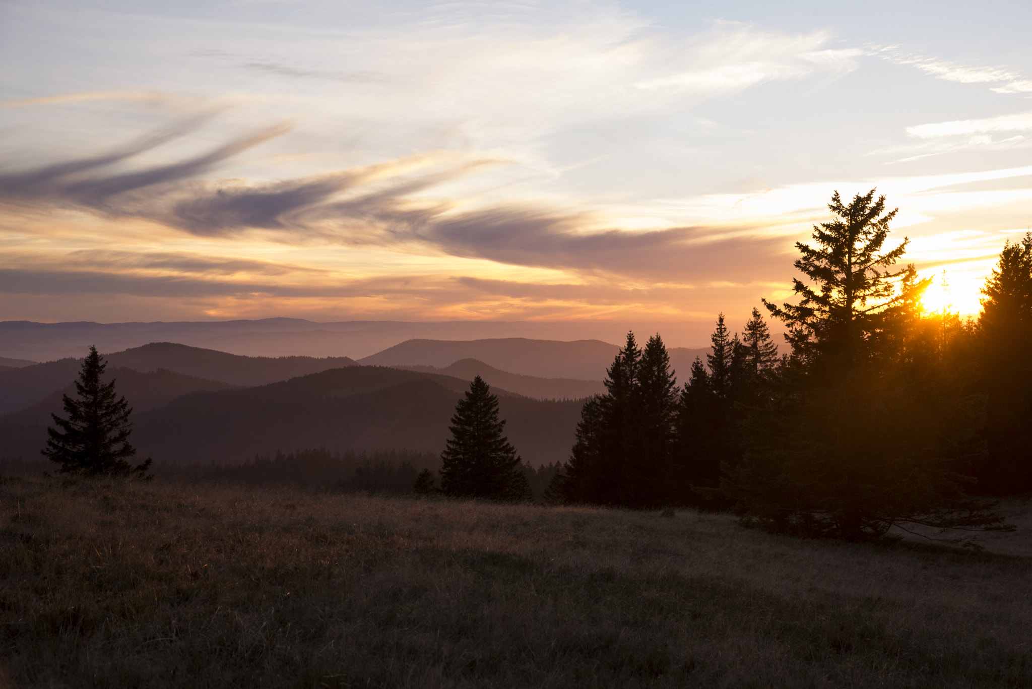 Nikon D600 + Sigma 24-105mm F4 DG OS HSM Art sample photo. Purple hills photography