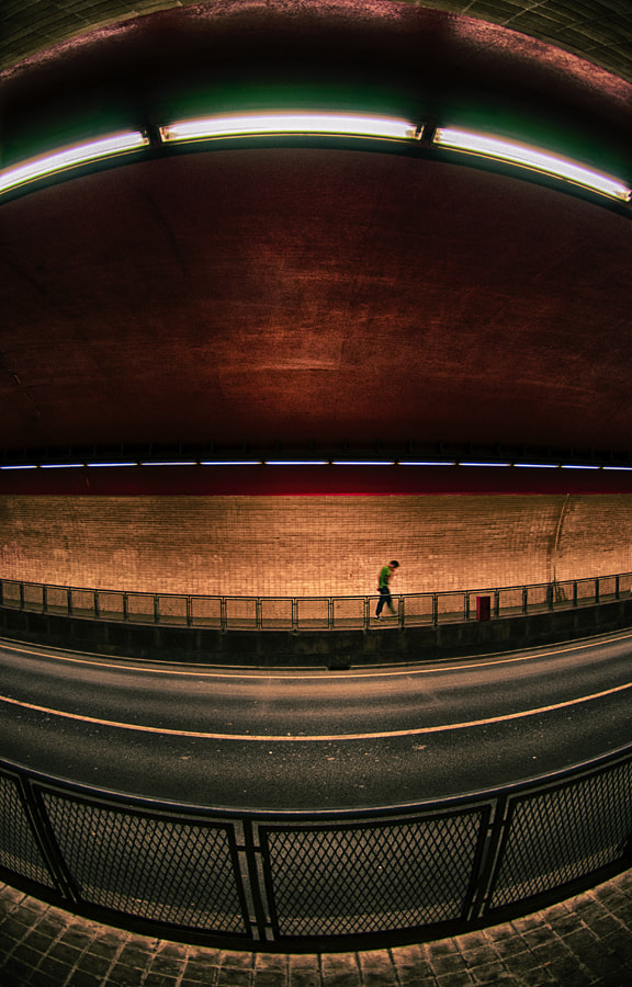 Nikon AF DX Fisheye-Nikkor 10.5mm F2.8G ED sample photo. Itsekseni photography