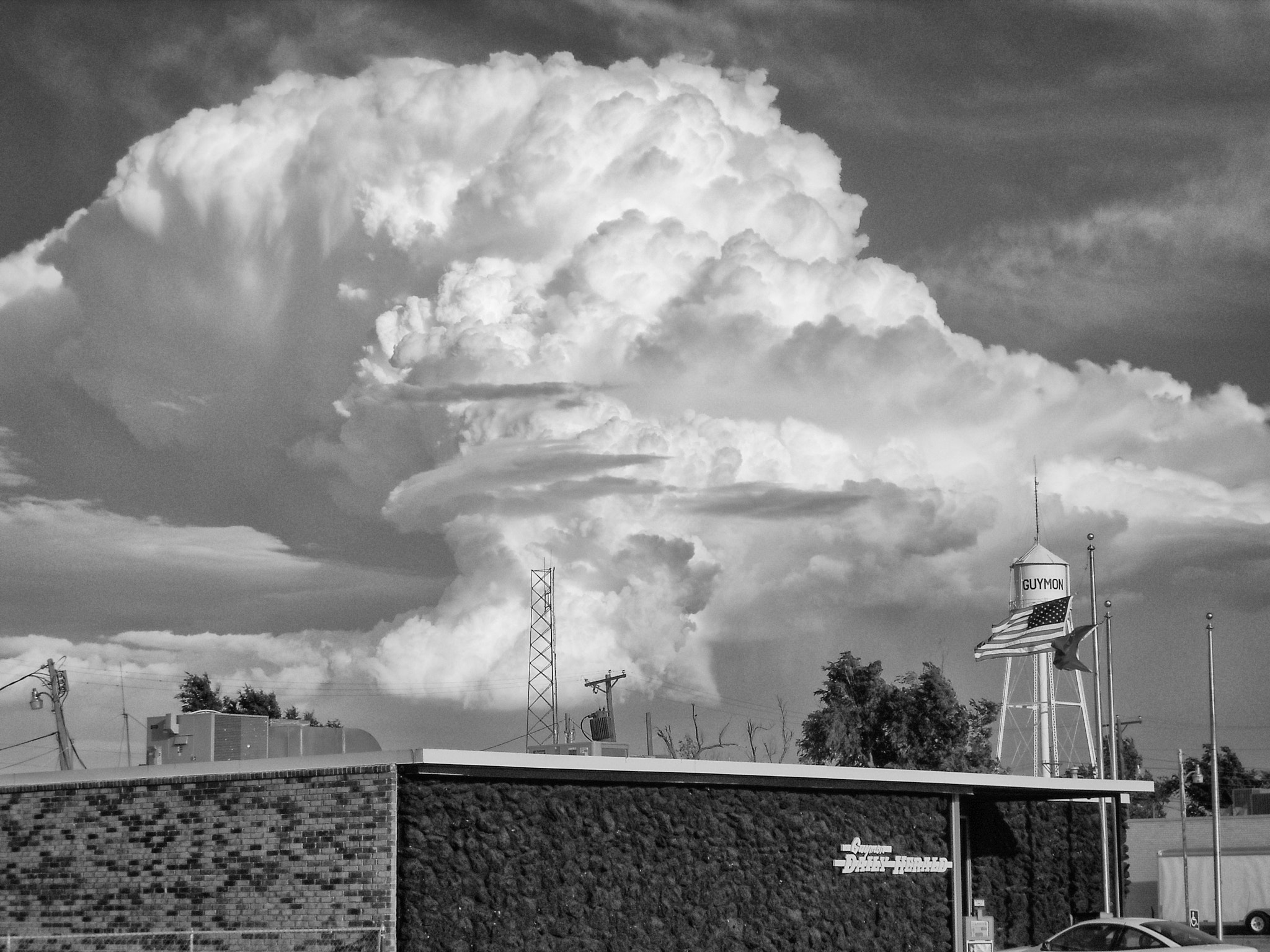 Nikon Coolpix L20 sample photo. A different kind of mushroom cloud photography