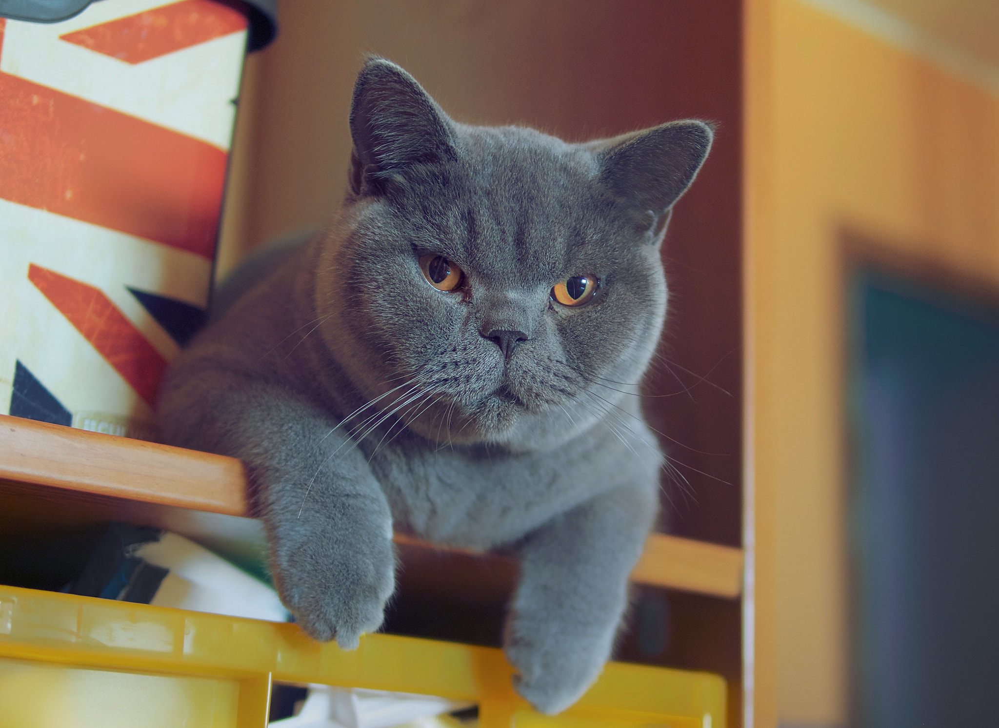 Panasonic Leica DG Summilux 25mm F1.4 II ASPH sample photo