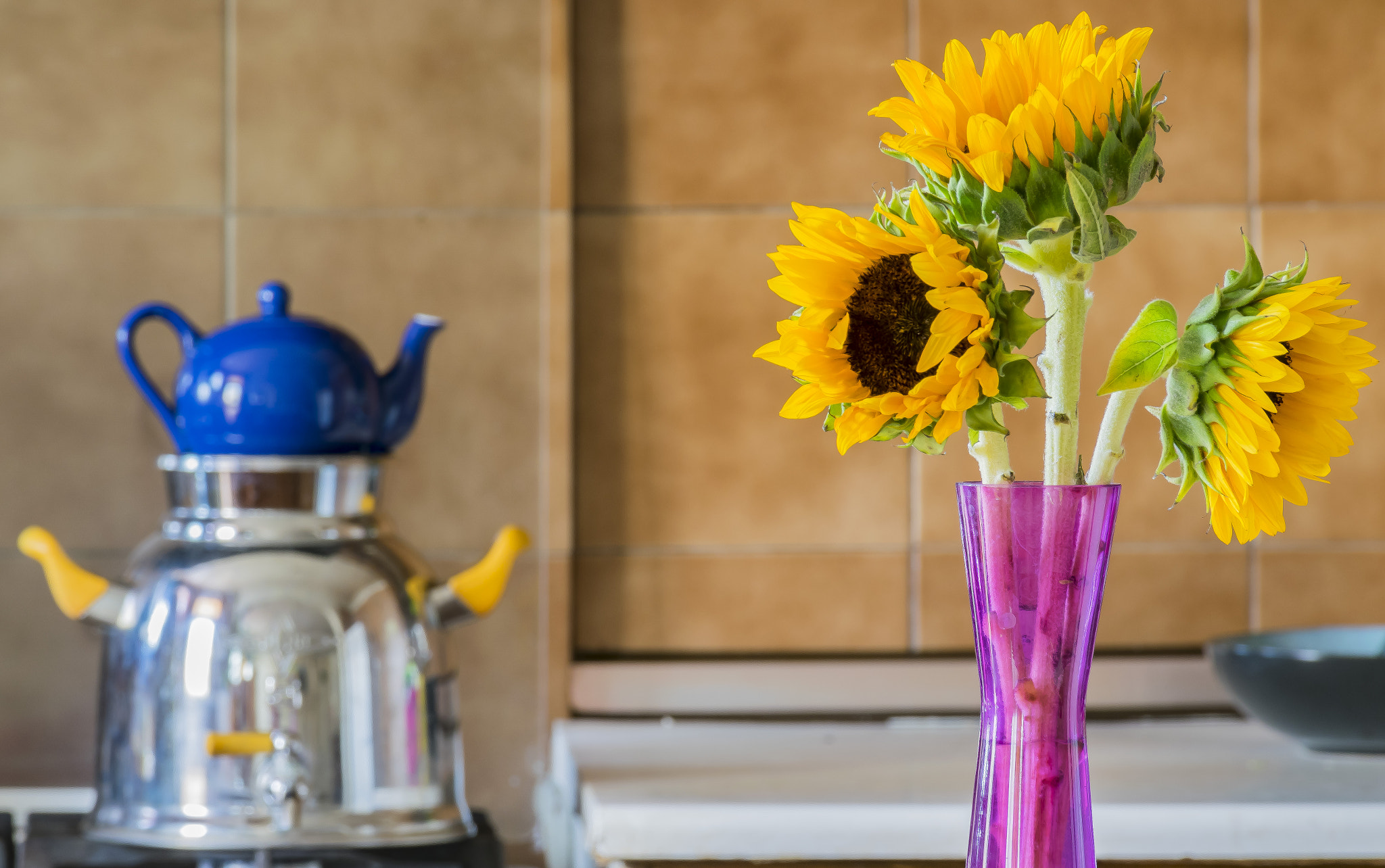 yellow flowers