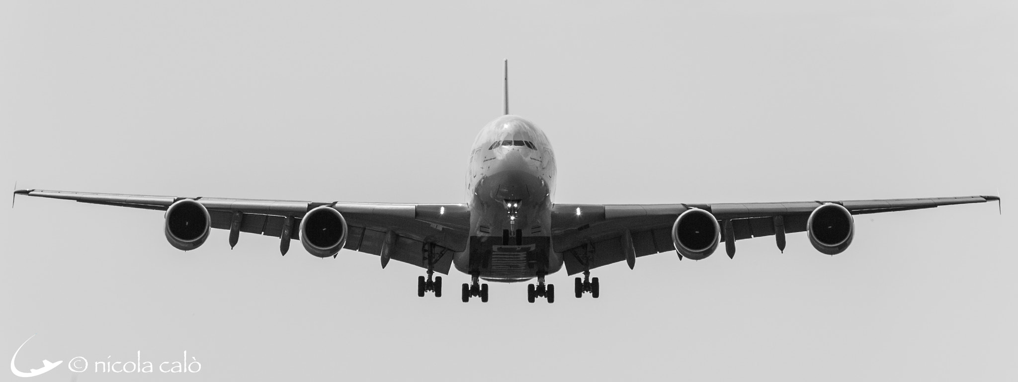 Sigma 150-600mm F5-6.3 DG OS HSM | C sample photo. Landings at malpensa international airport photography