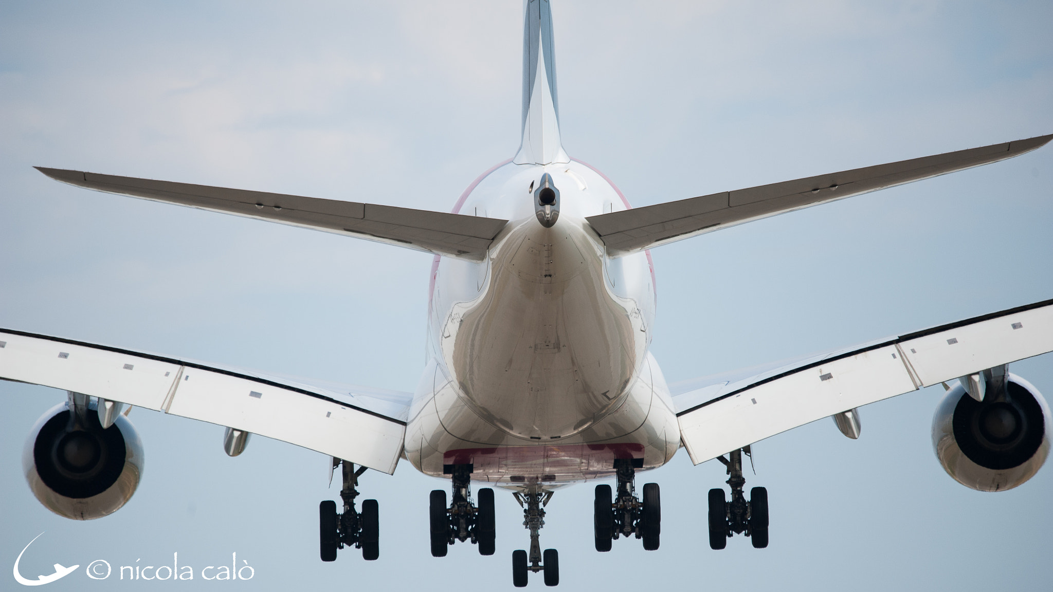 Sigma 150-600mm F5-6.3 DG OS HSM | C sample photo. Landings at malpensa international airport photography