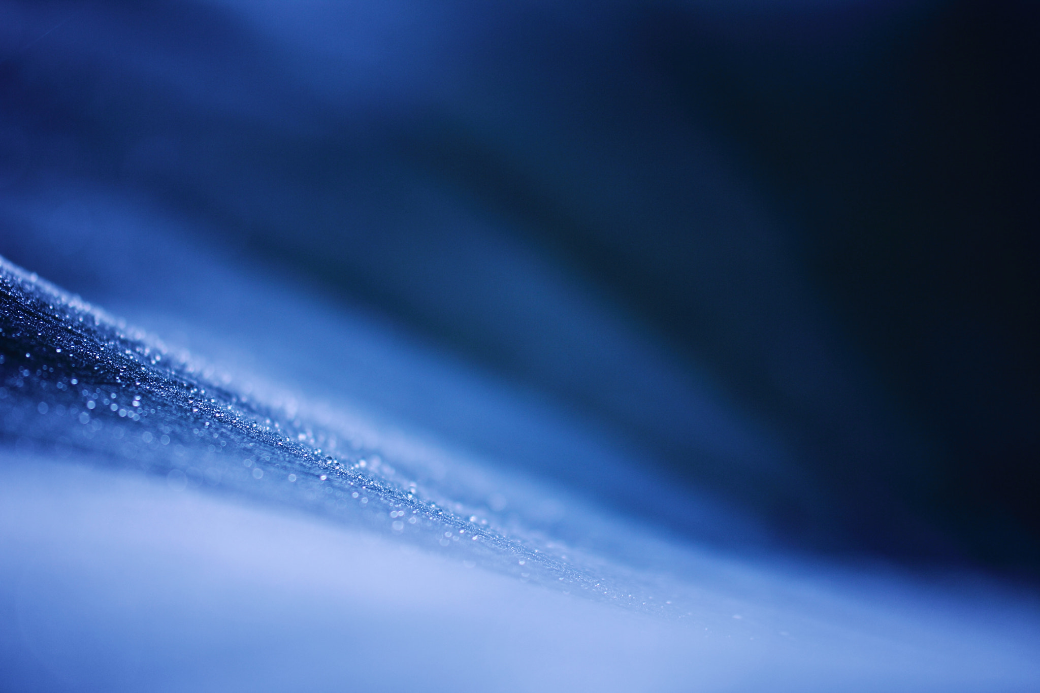 Tamron SP AF 60mm F2 Di II LD IF Macro sample photo. Wave photography