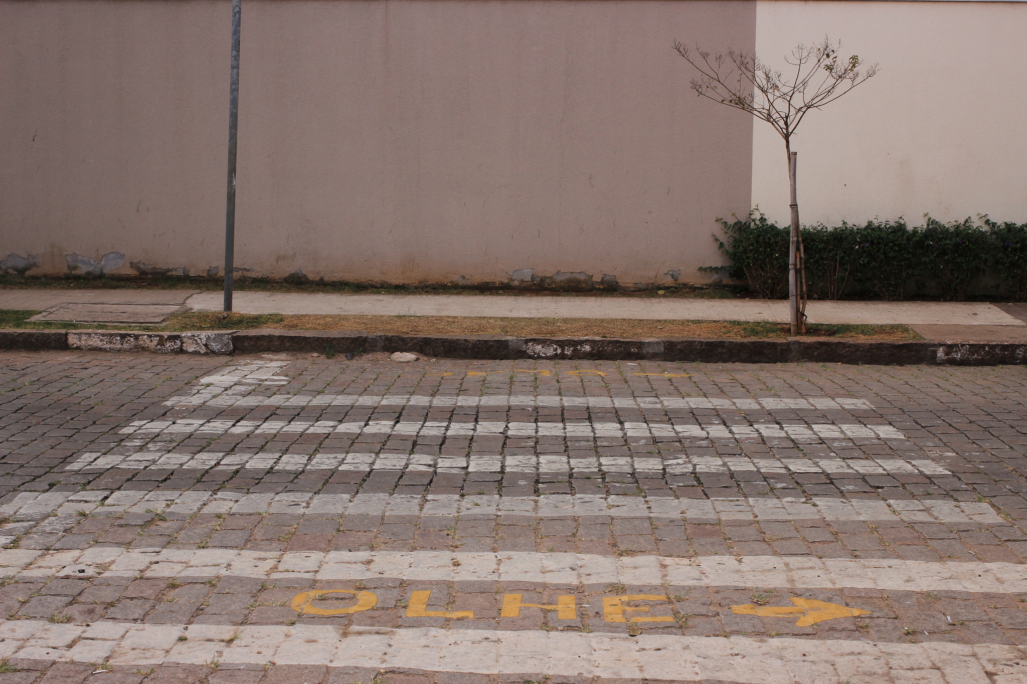 Canon EF 40mm F2.8 STM sample photo. Look! photography