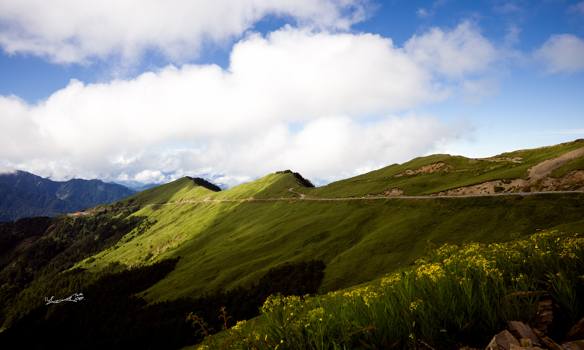 Leica M (Typ 240) + Leica Summilux-M 21mm F1.4 Asph sample photo. 合歡 photography