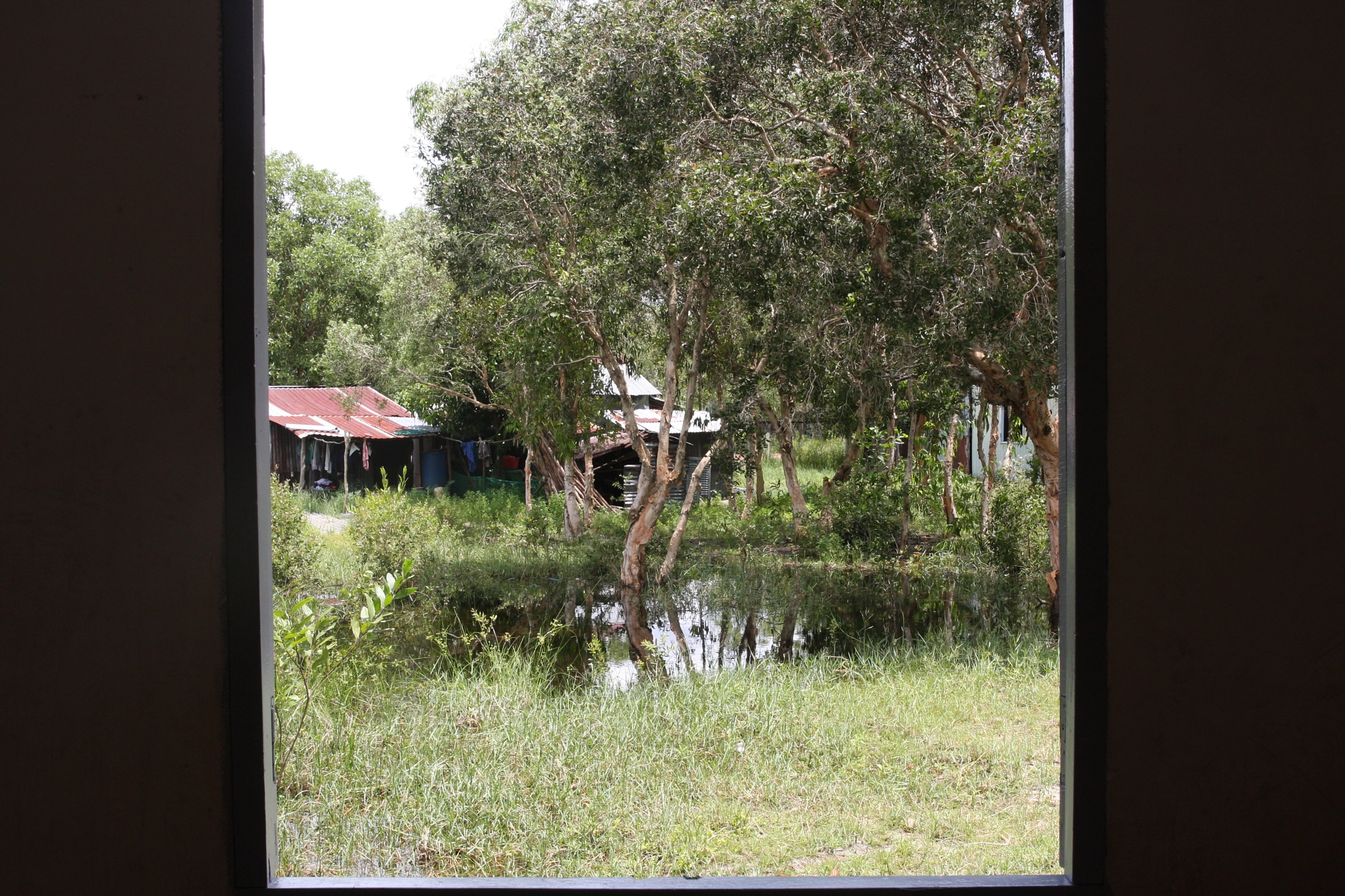 Canon EOS 40D sample photo. Windown photography