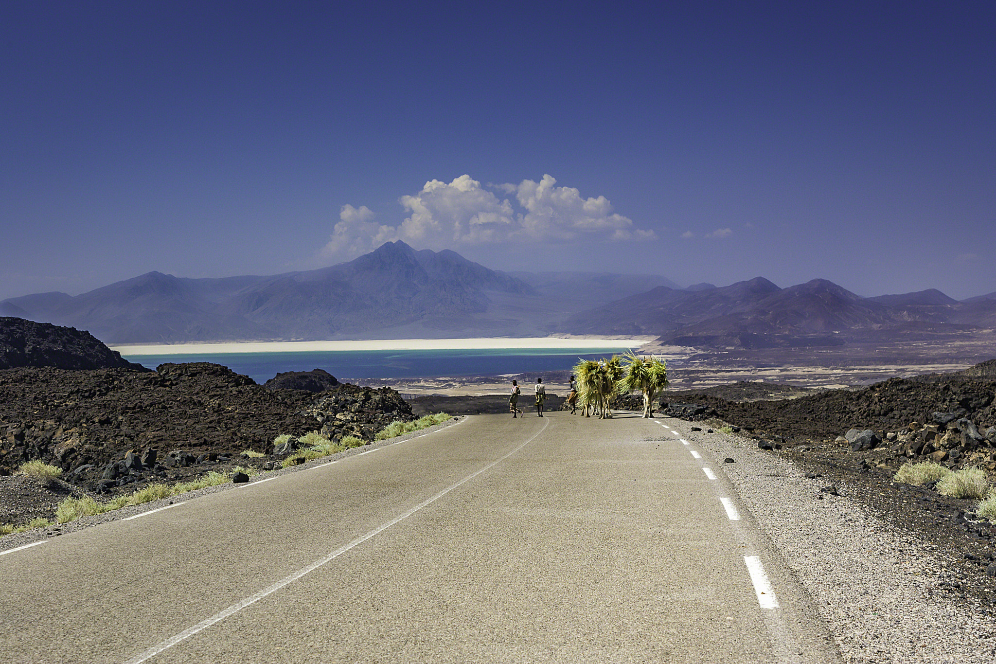 Canon EOS-1D Mark II sample photo. Camel farmers near lac asal photography