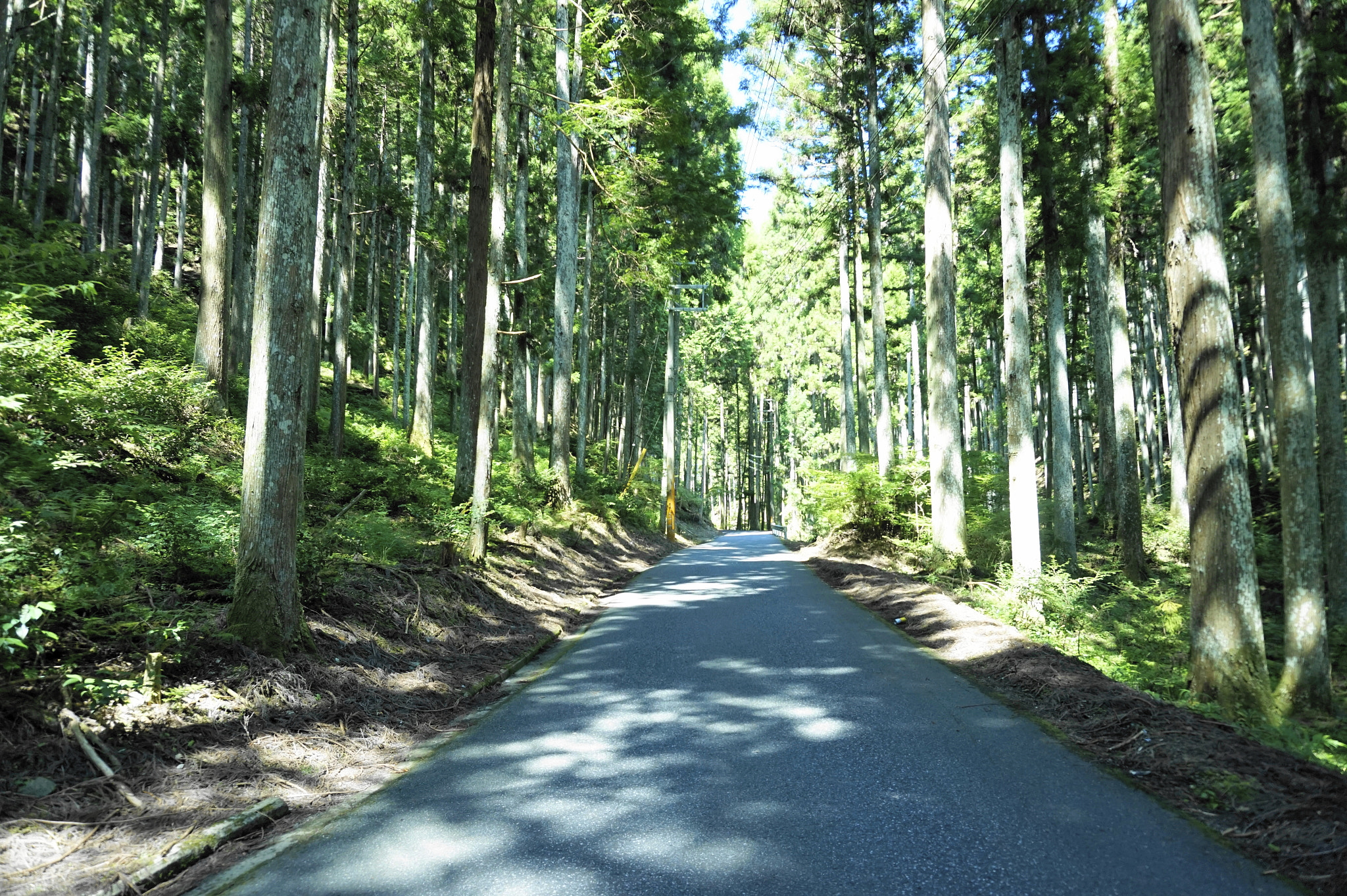 v2?sig=c7aae2553a5b28752181e5c8fdb24c7a7504ad52bc9dfee9d29daad54353530d