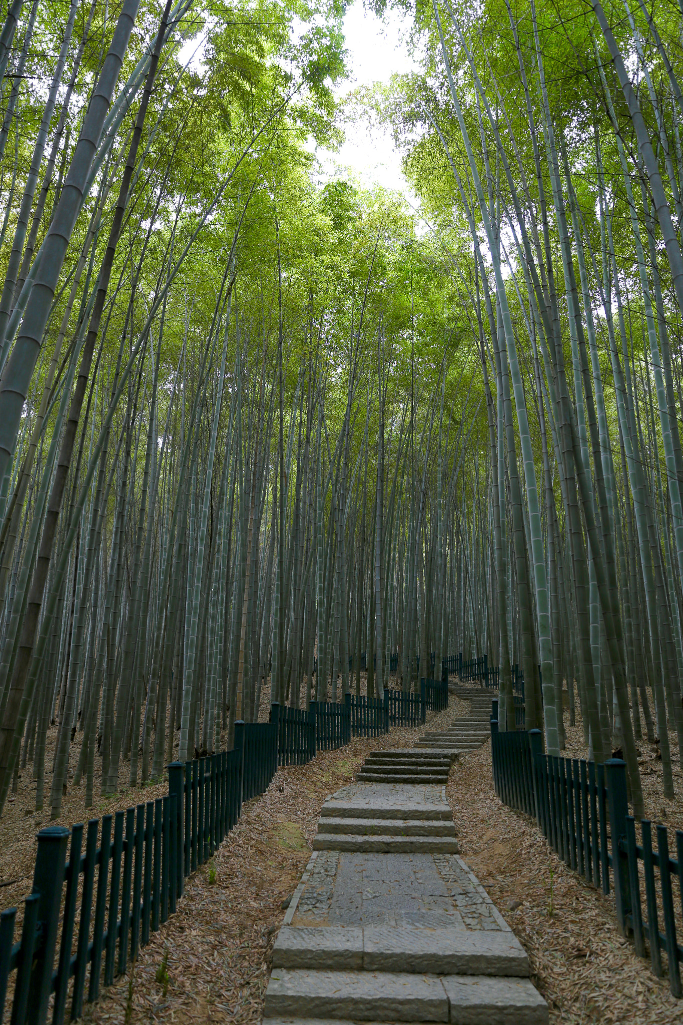 Canon EF 24-70mm F2.8L II USM sample photo