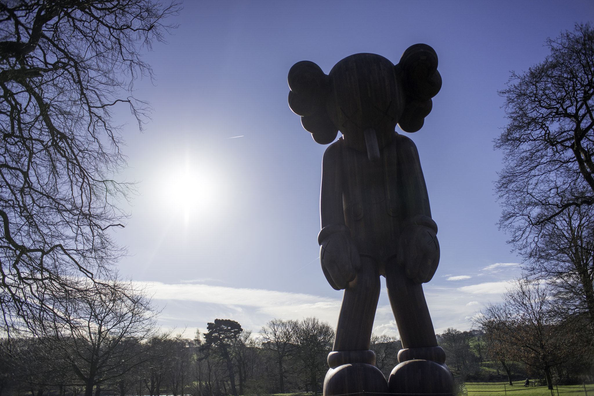 Nikon D800 + Nikon AF Nikkor 28mm F2.8D sample photo. Small lie by kaws photography