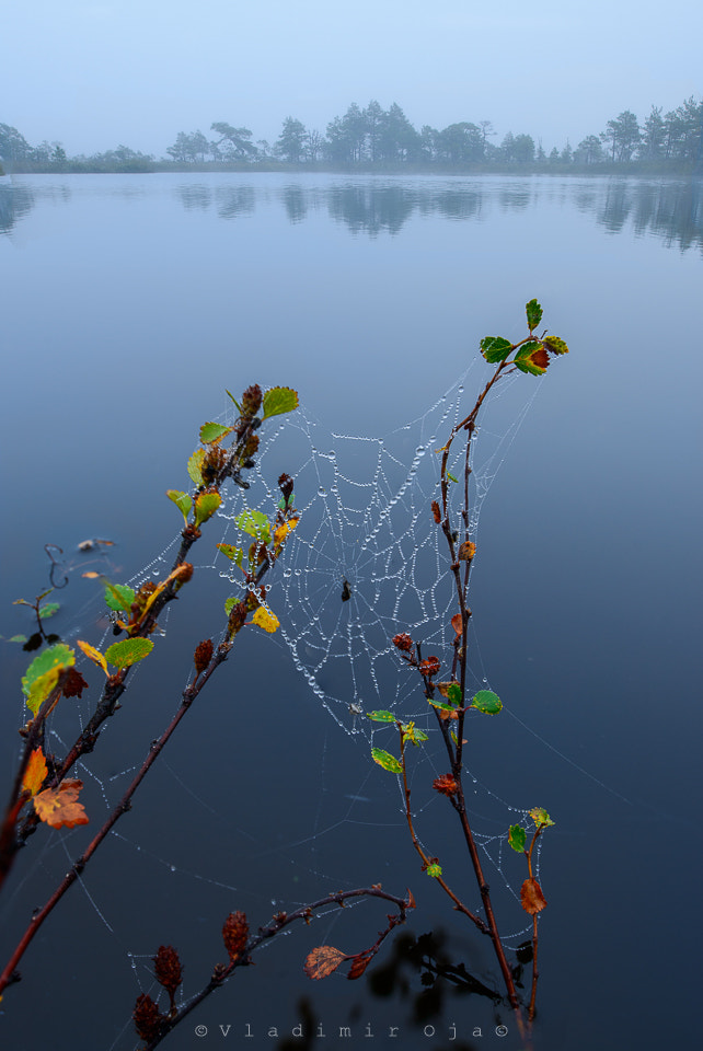 Nikon D800 + Nikon PC-E Nikkor 24mm F3.5D ED Tilt-Shift sample photo. Foggy and overcast photography