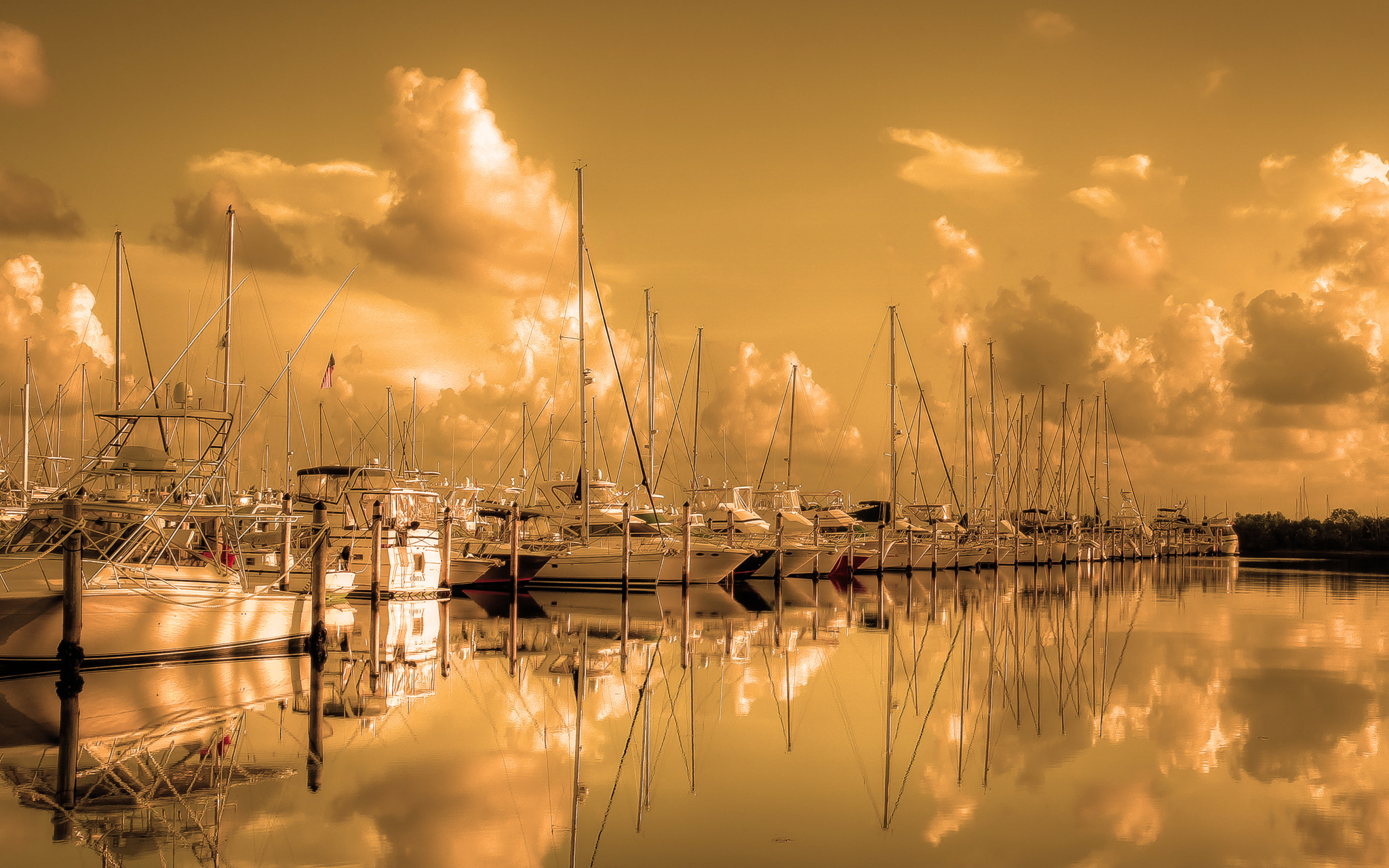 Nikon D600 sample photo. Golden marina photography