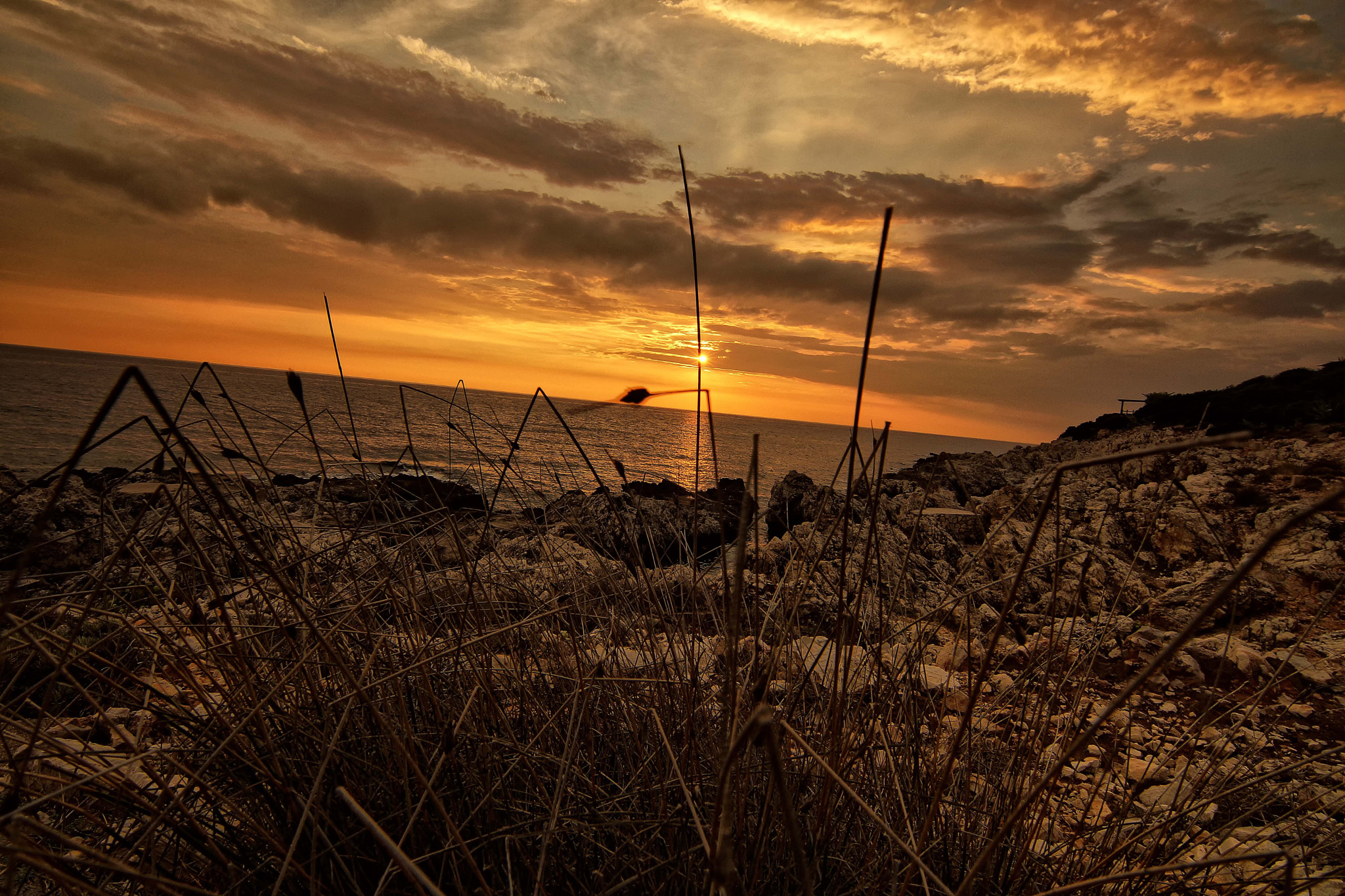 Sony SLT-A65 (SLT-A65V) + 20mm F2.8 sample photo. Chronicle of a sunset photography