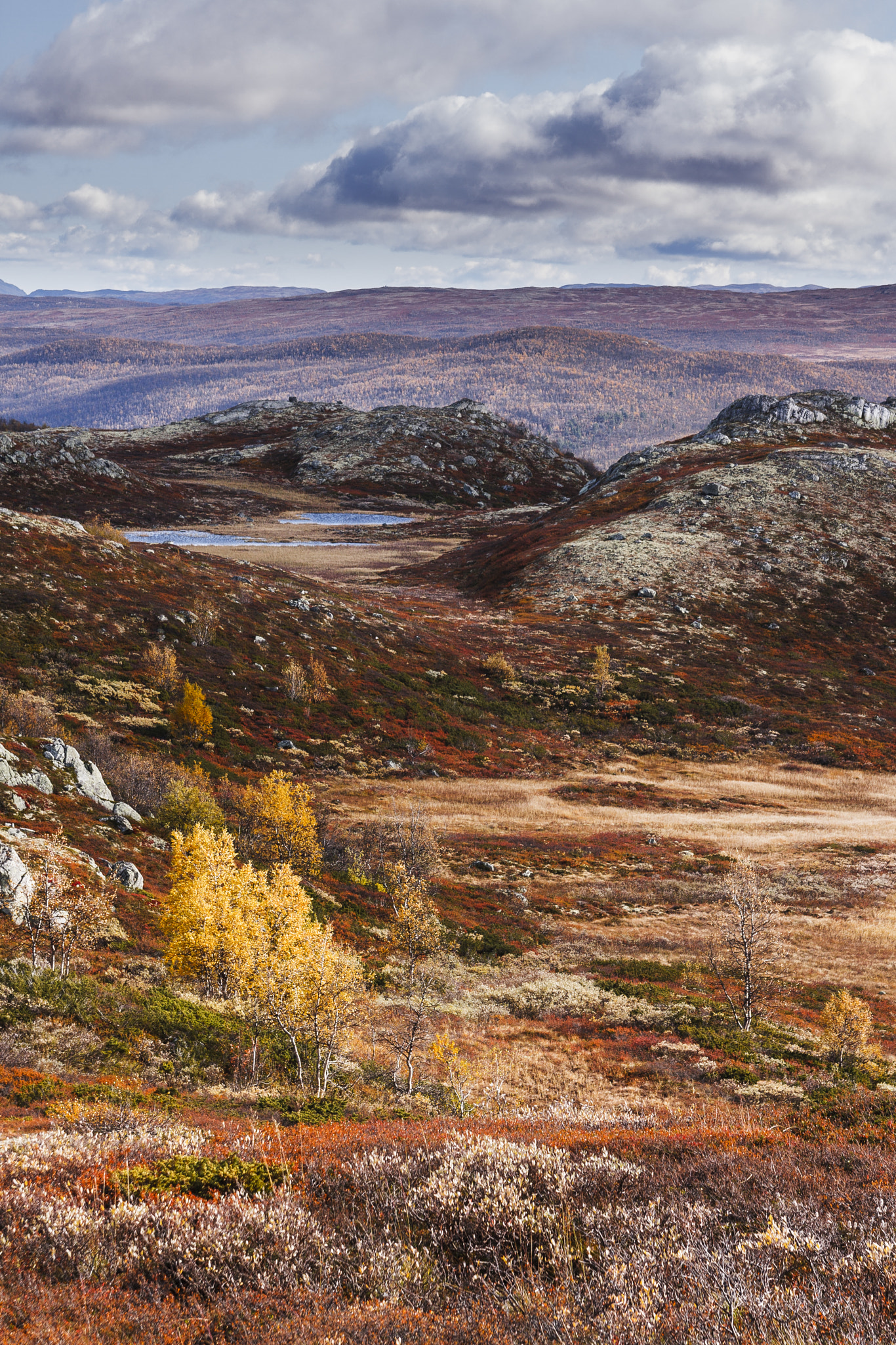 Canon EOS 40D sample photo. Colours of autumn photography