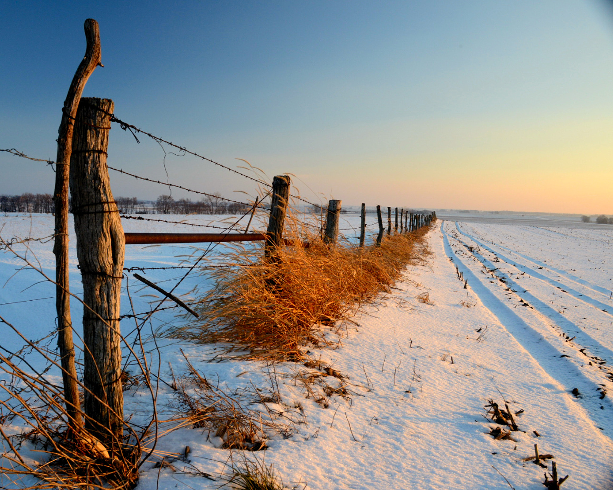 Nikon D800E sample photo. Fenceline photography