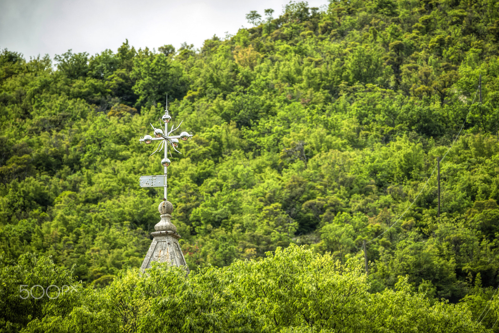 Canon EF 70-200mm F2.8L IS II USM sample photo. It came from the forest photography
