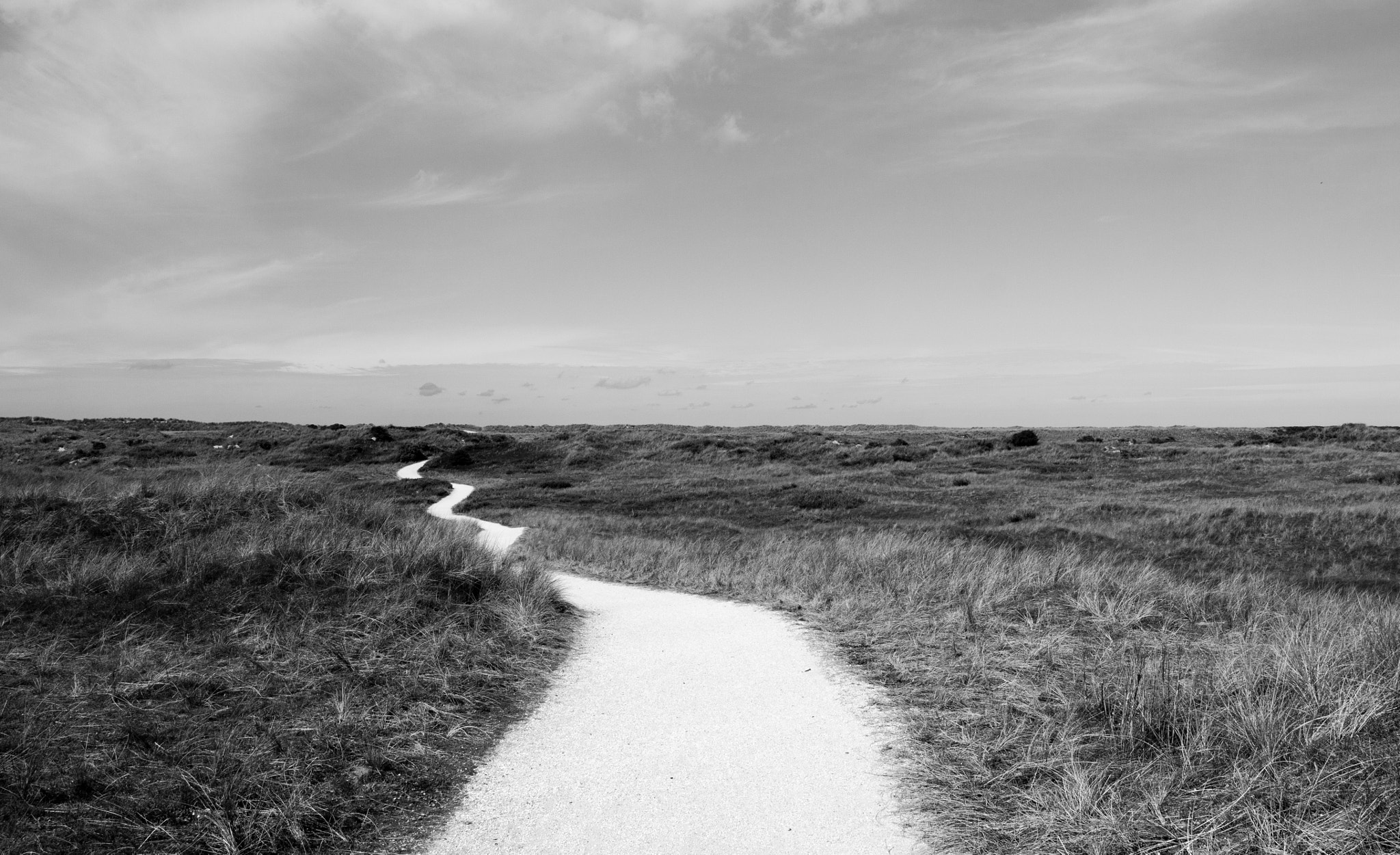Sigma 18-35mm f/1.8 DC HSM sample photo. The path photography