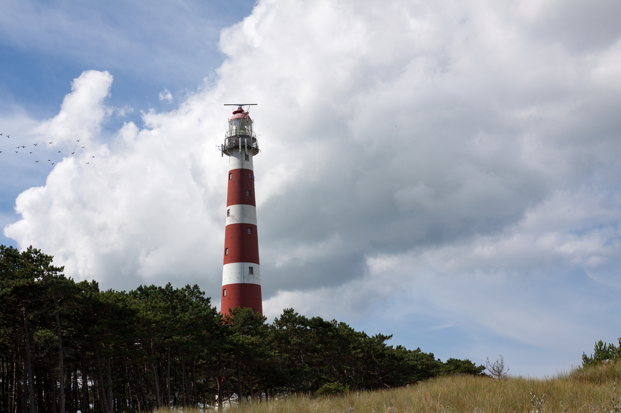 Canon EOS 50D + Sigma 18-35mm f/1.8 DC HSM sample photo. Lighthouse ameland photography