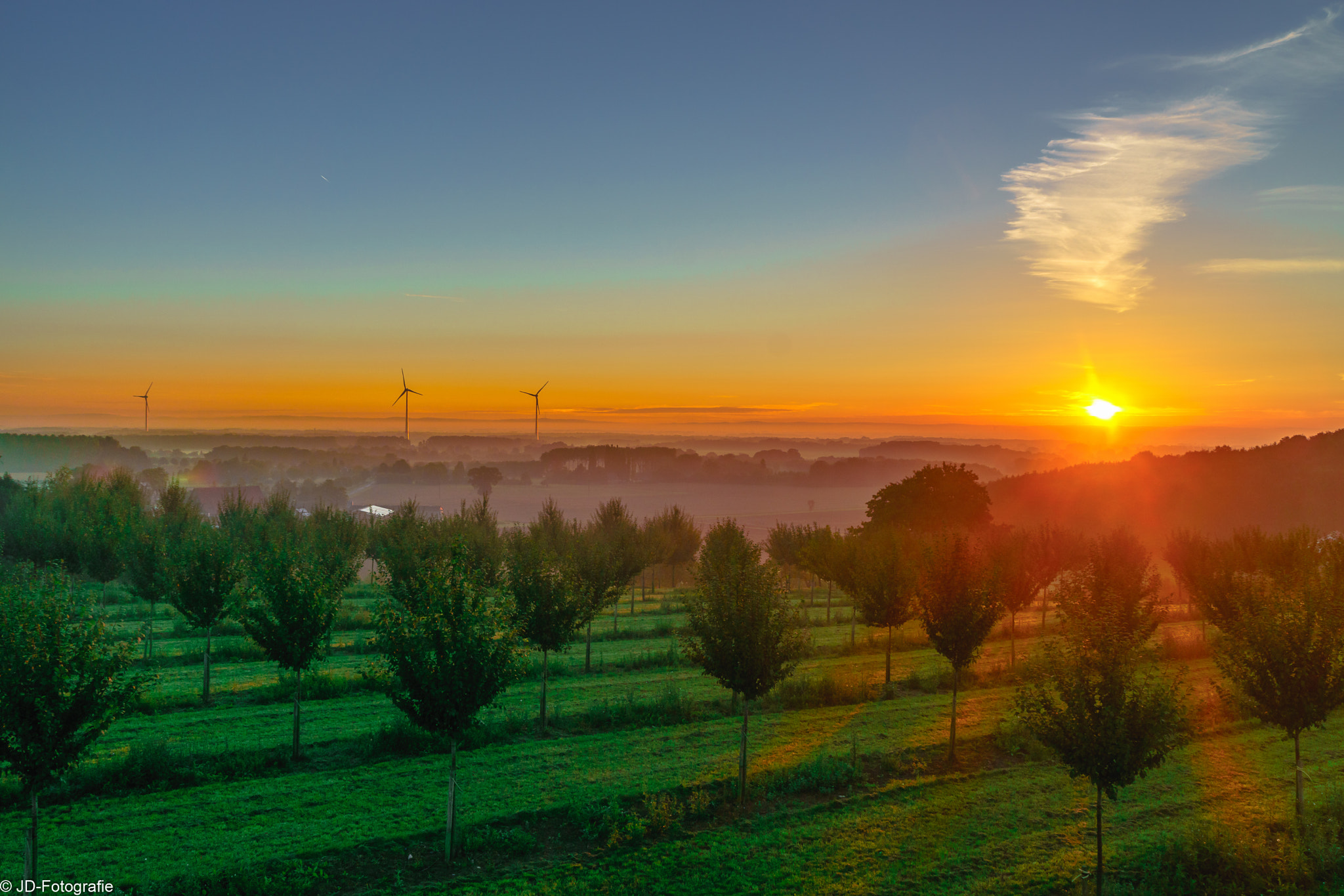 Sony DT 18-200mm F3.5-6.3 sample photo. Morgens in der apfelplantage photography