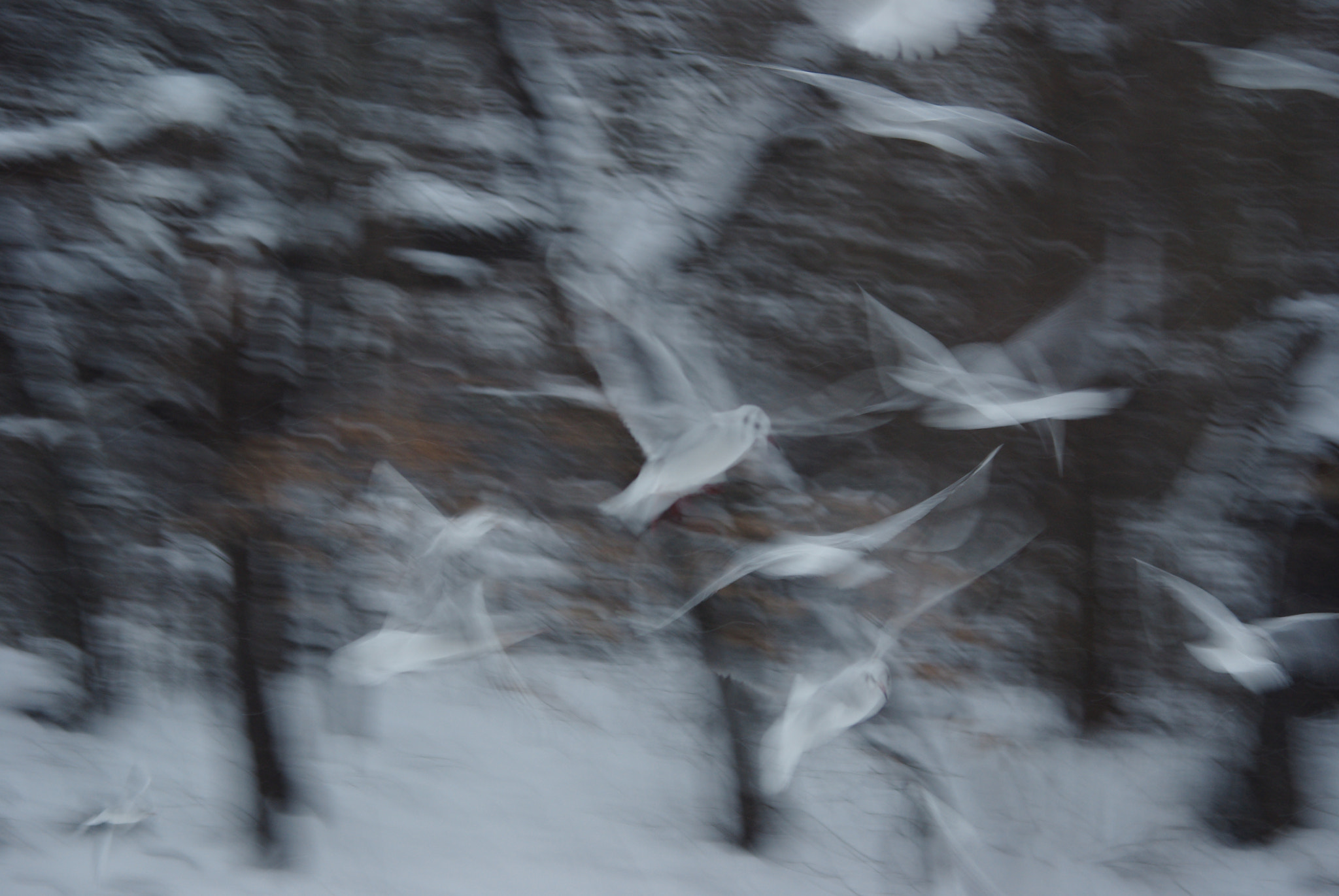 Pentax smc DA 50-200mm F4-5.6 ED sample photo. Blur photography