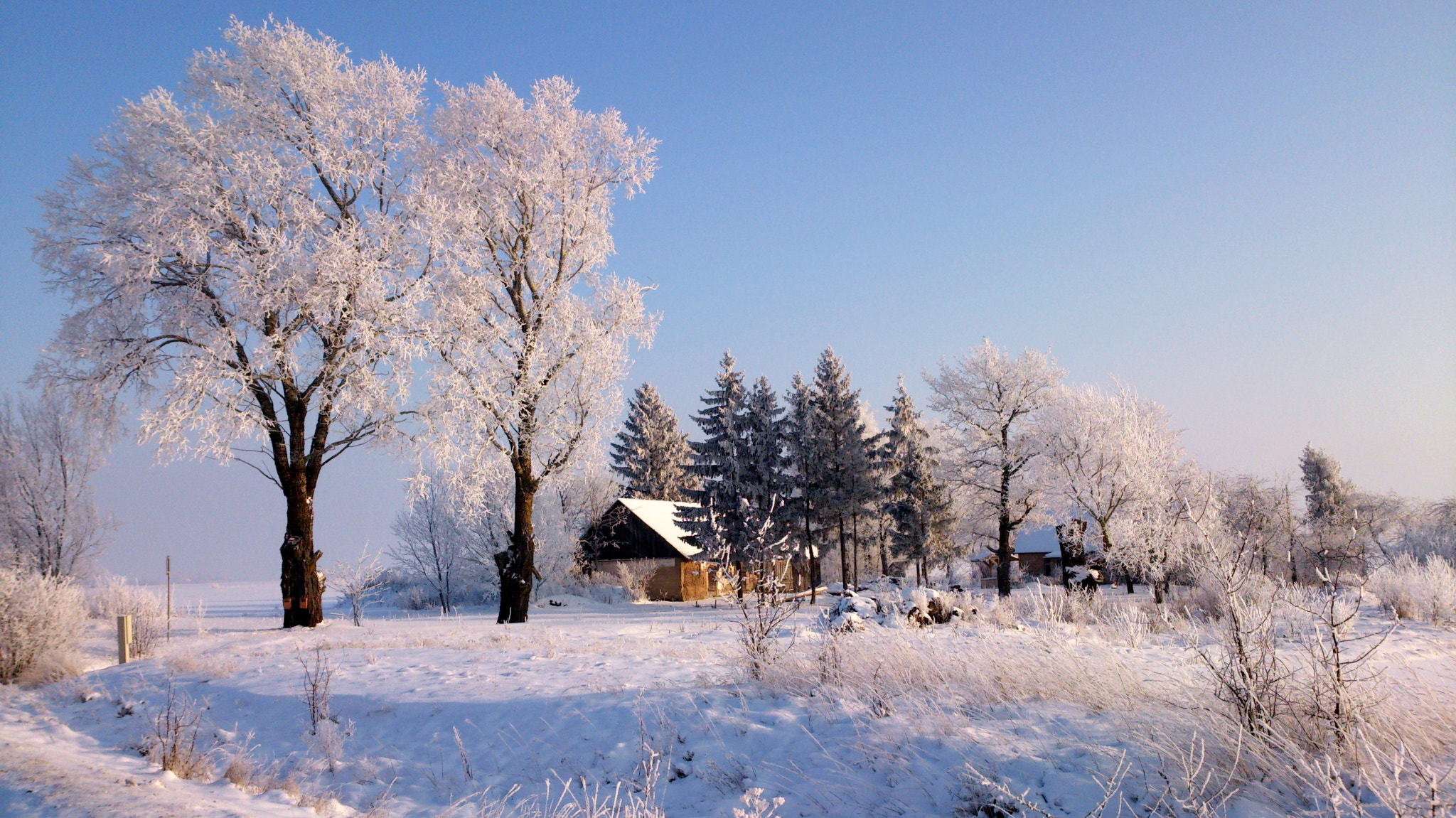 Sony Xperia T sample photo. Latvian winter photography